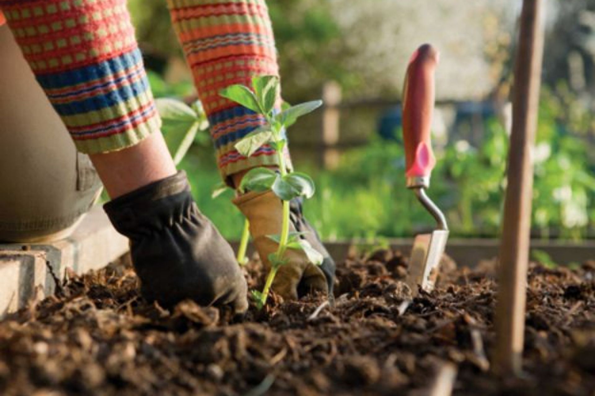 How To Make Your Landscaping Work For You