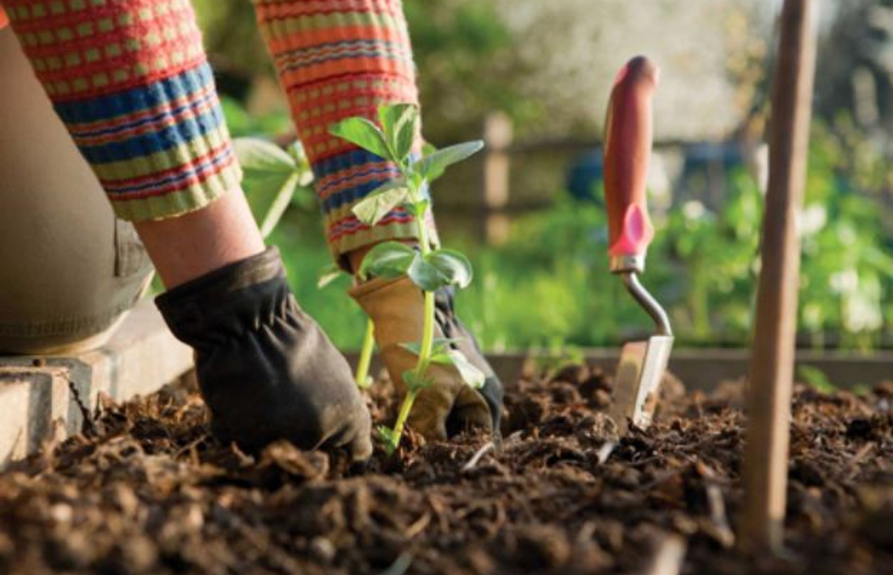 How To Make Your Landscaping Work For You