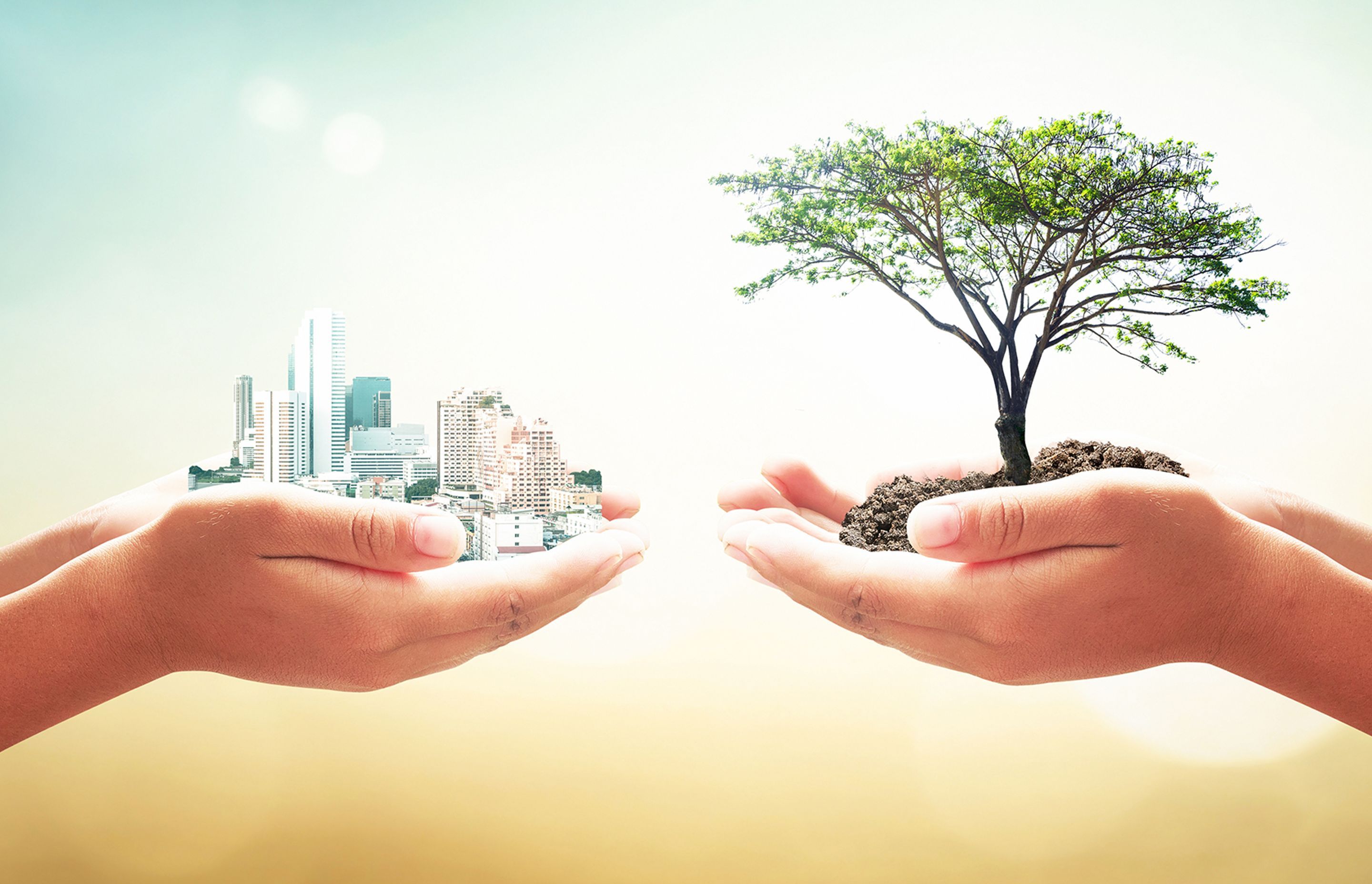 Havwoods Leads the Way in Sustainable Timber Flooring