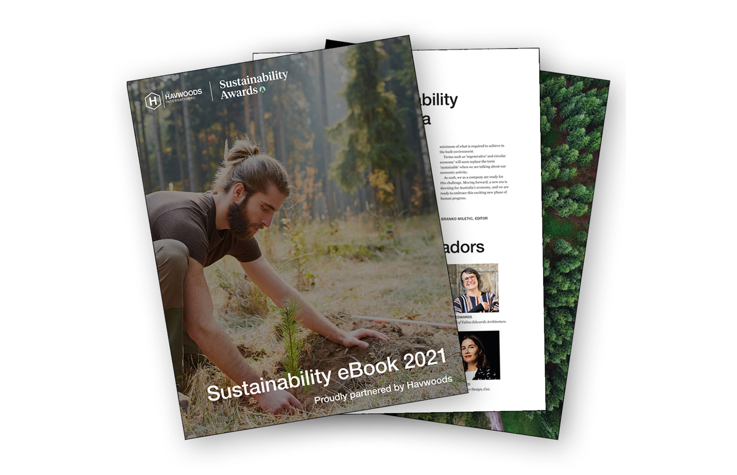 Havwoods Leads the Way in Sustainable Timber Flooring