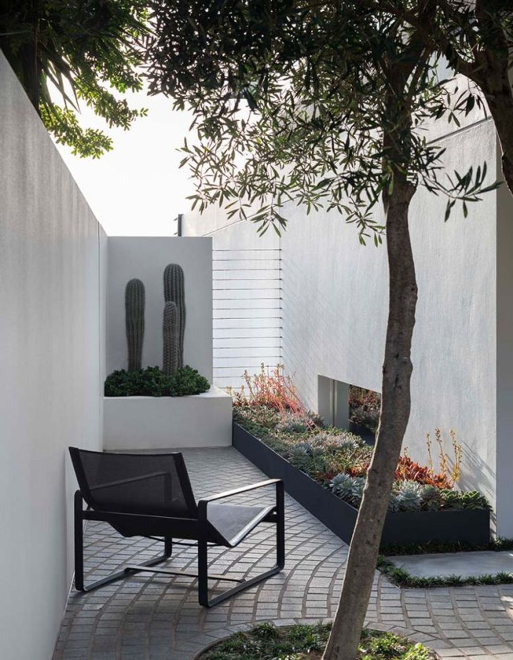 High and dry: Exploring the cool world of Cactus