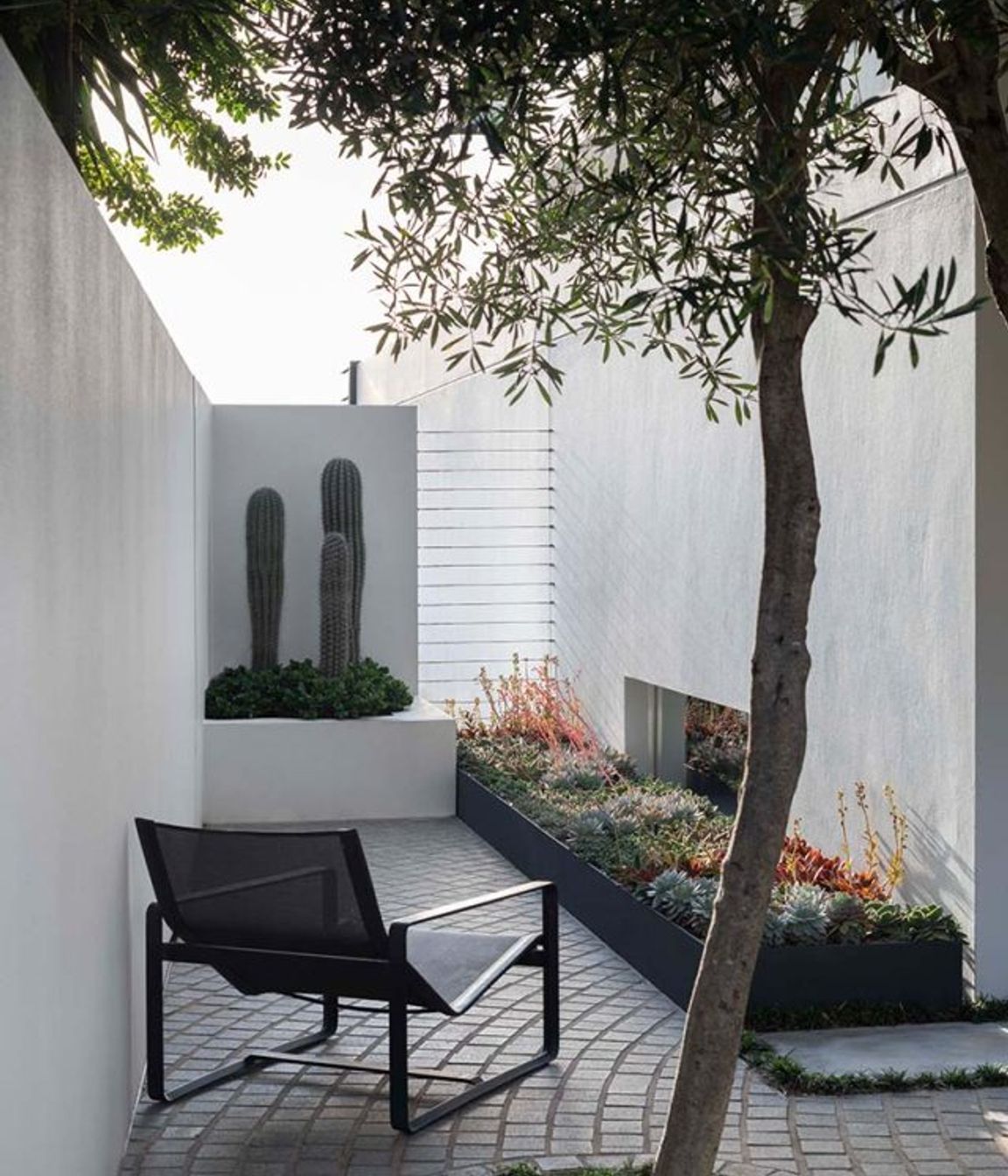 High and dry: Exploring the cool world of Cactus
