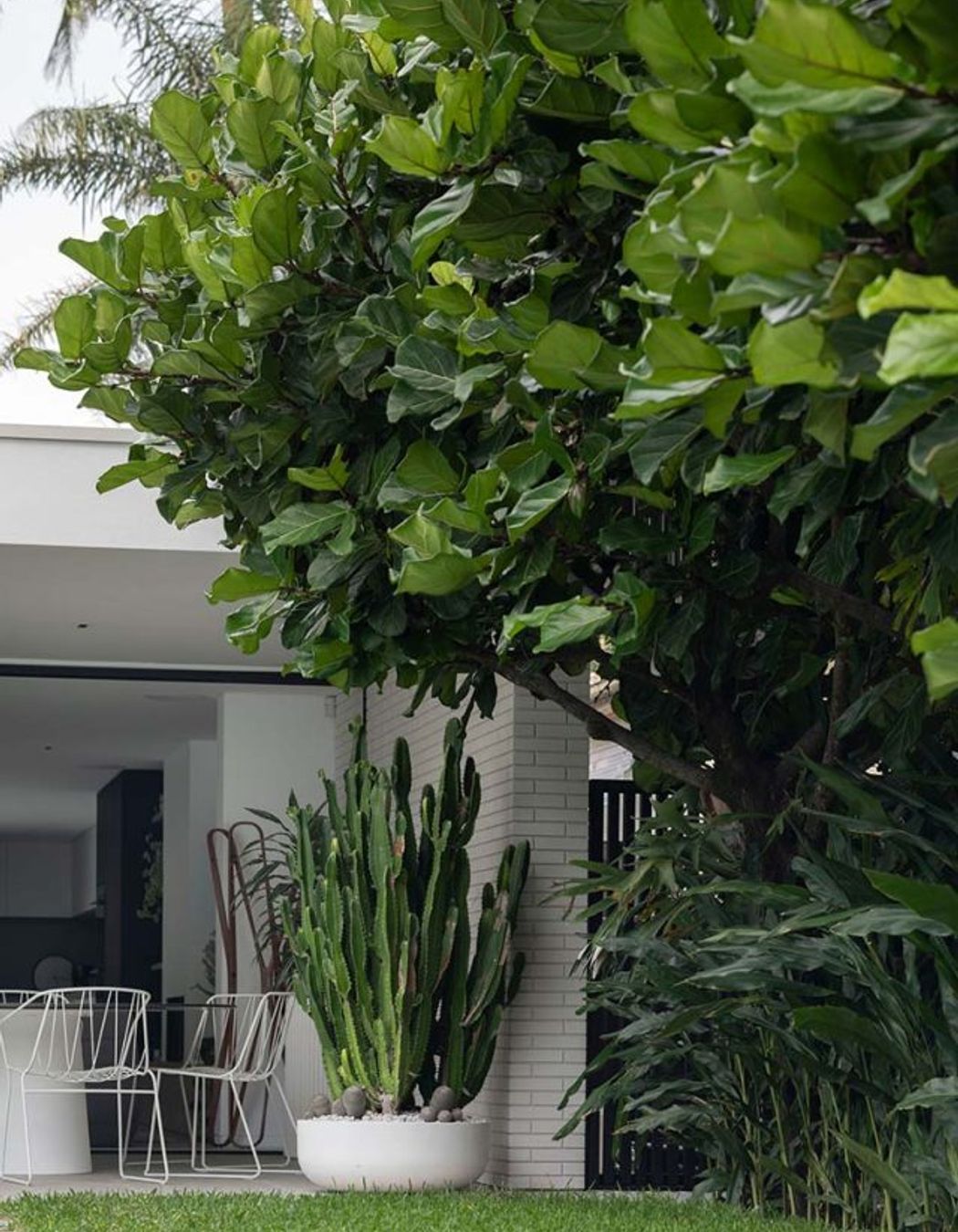 High and dry: Exploring the cool world of Cactus