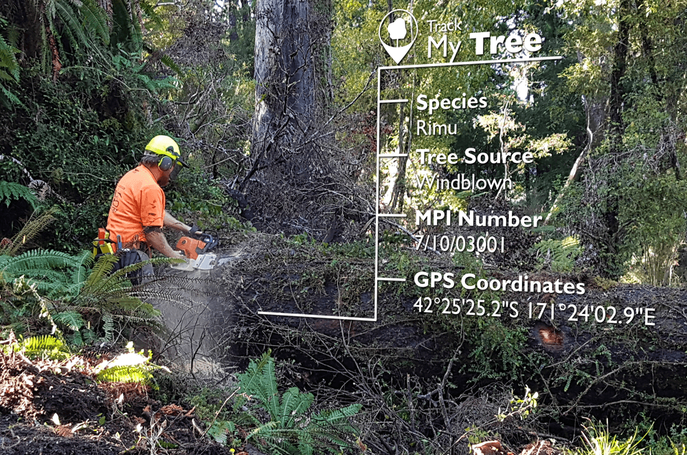 The Track my Tree initiative allows purchasers of native timber veneer products to track the finished product back to it's source and provides photographic evidence of the original tree, all via a unique code given to the raw material.
