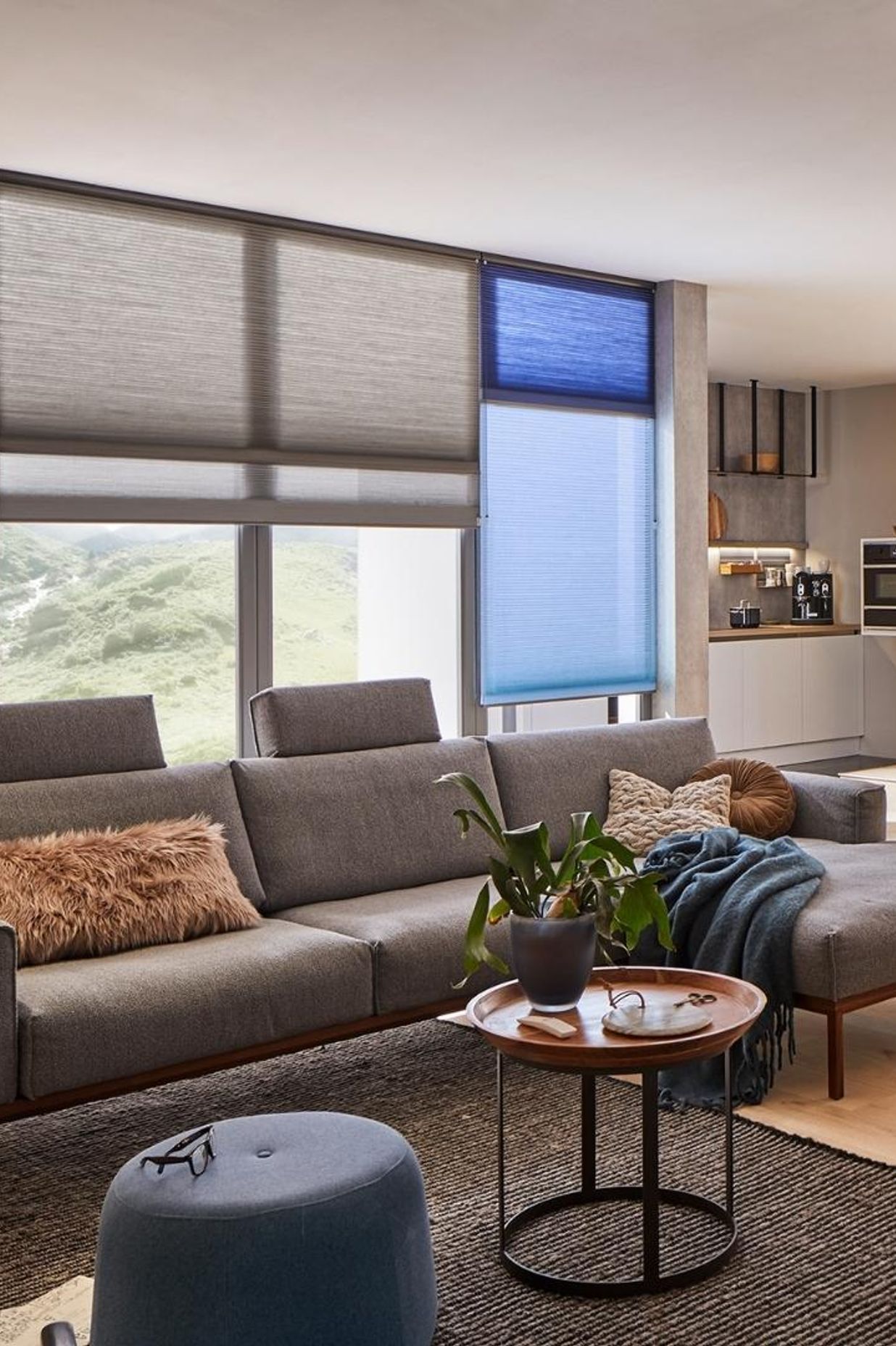 Pleated Blinds