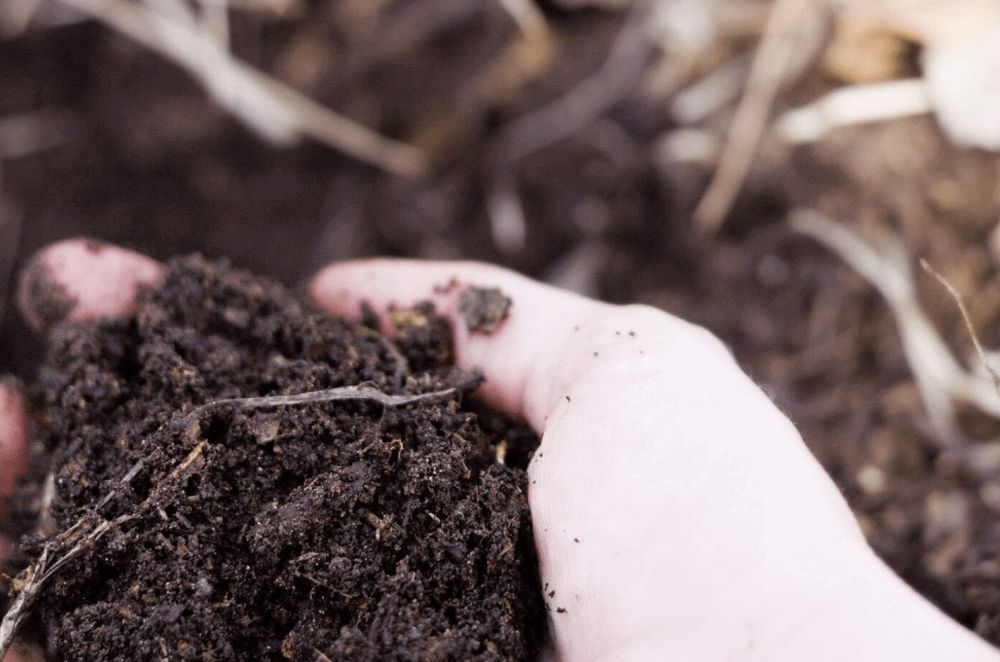 How to Make Compost