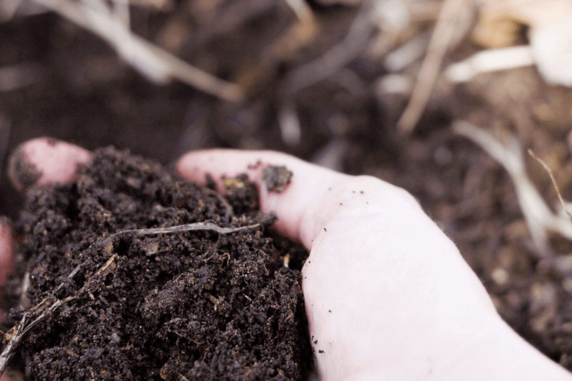 How to Make Compost