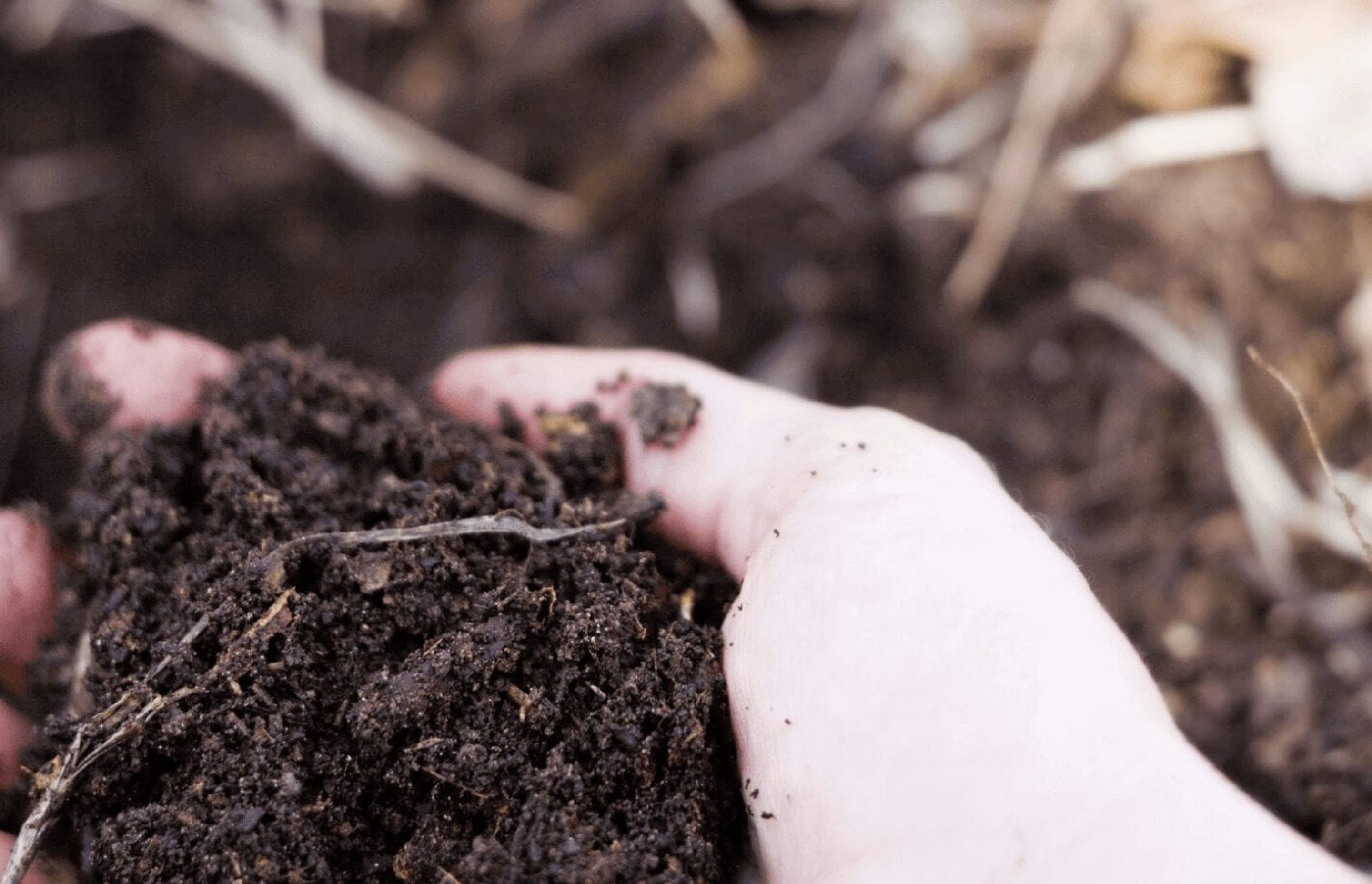 How to Make Compost