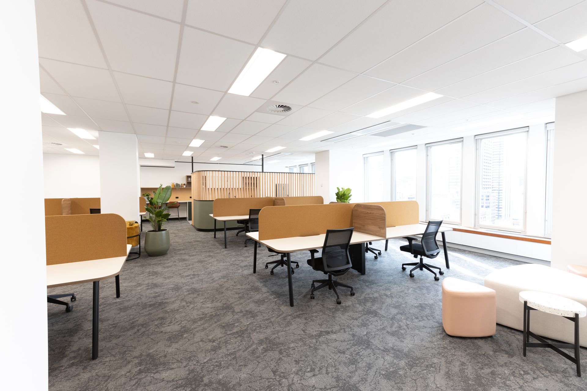 Rising to the Challenge