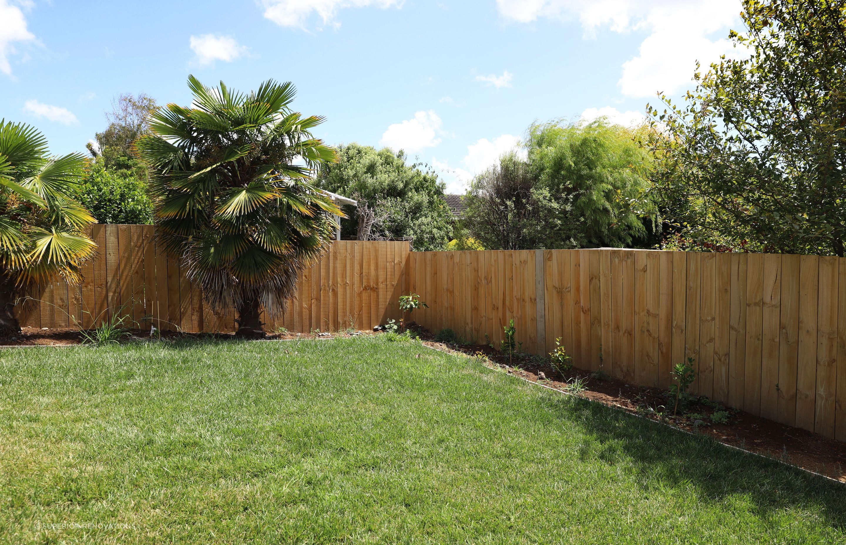 A simple lawn for our clients to spend some time amongst nature