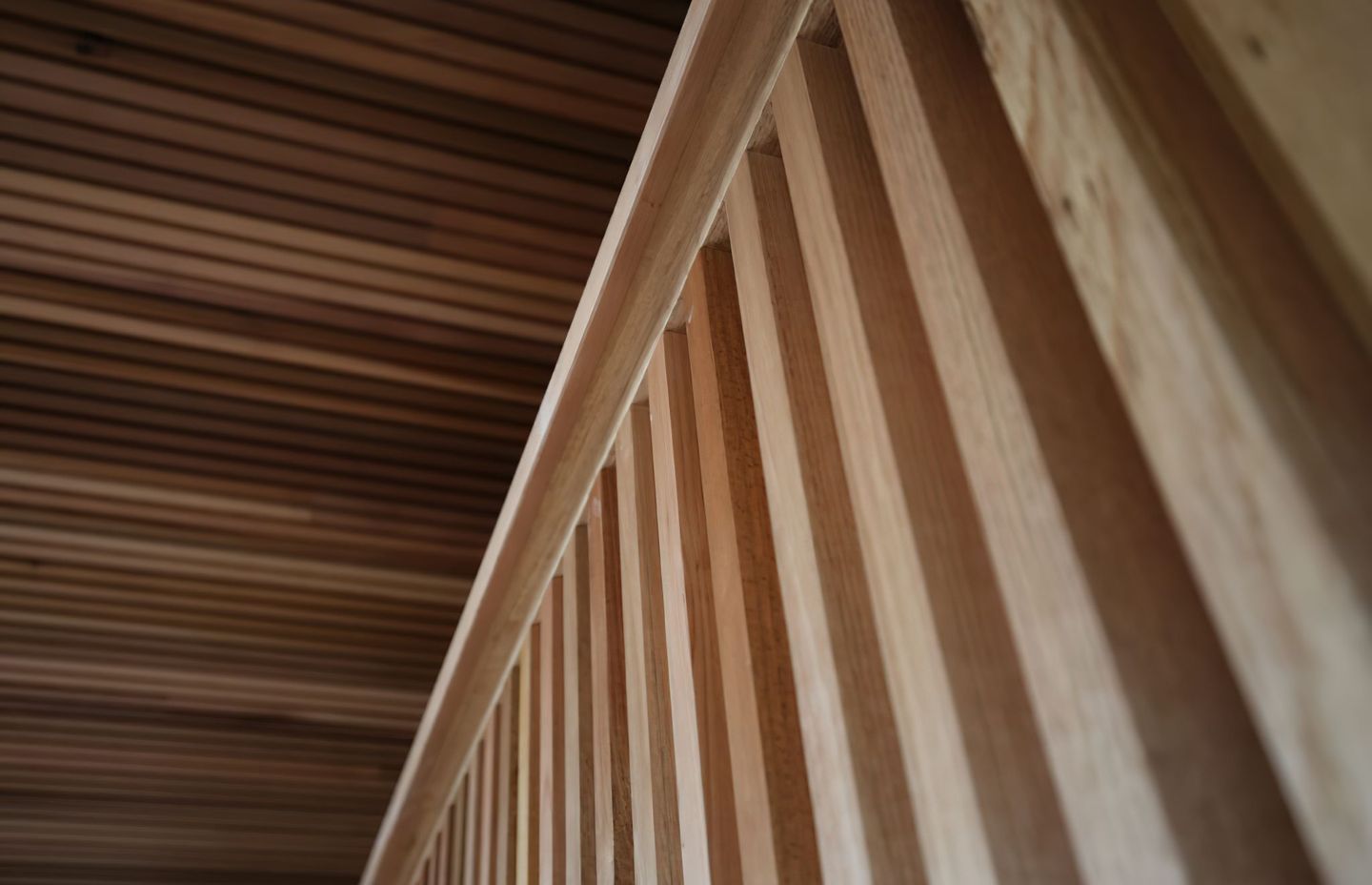 Details from Wamberal – Site Visit 08/10/20