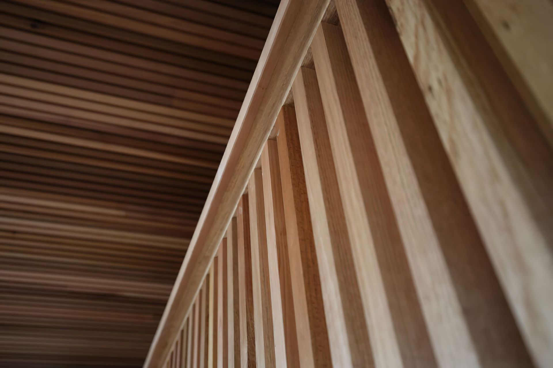 Details from Wamberal – Site Visit 08/10/20