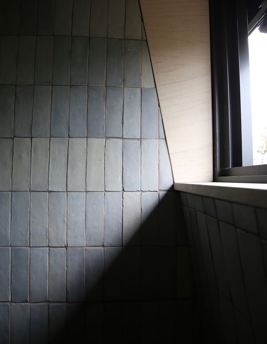 Details from Wamberal – Site Visit 08/10/20