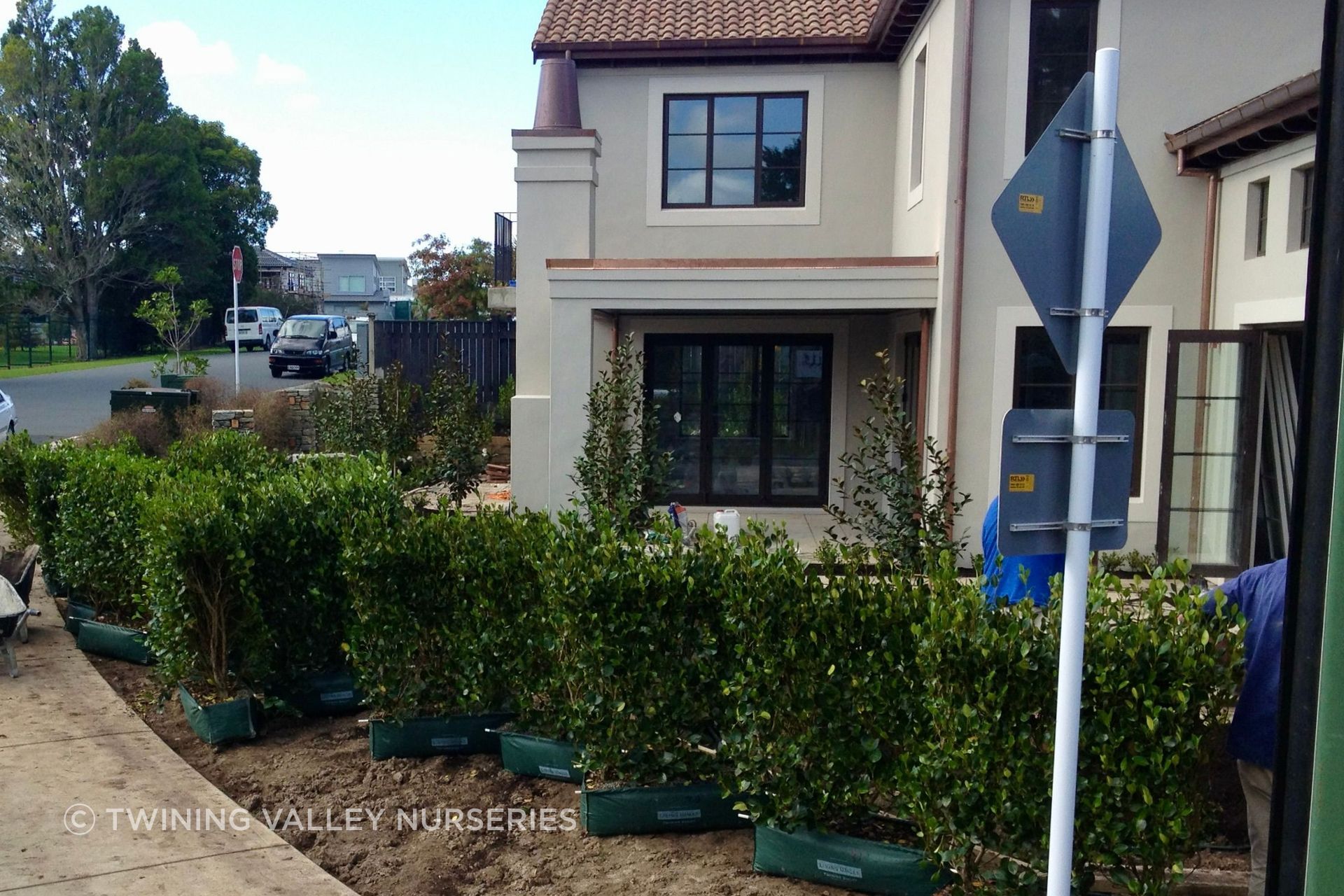 Living Boundary™ hedge units positioned along the property edge, ready for installation.
