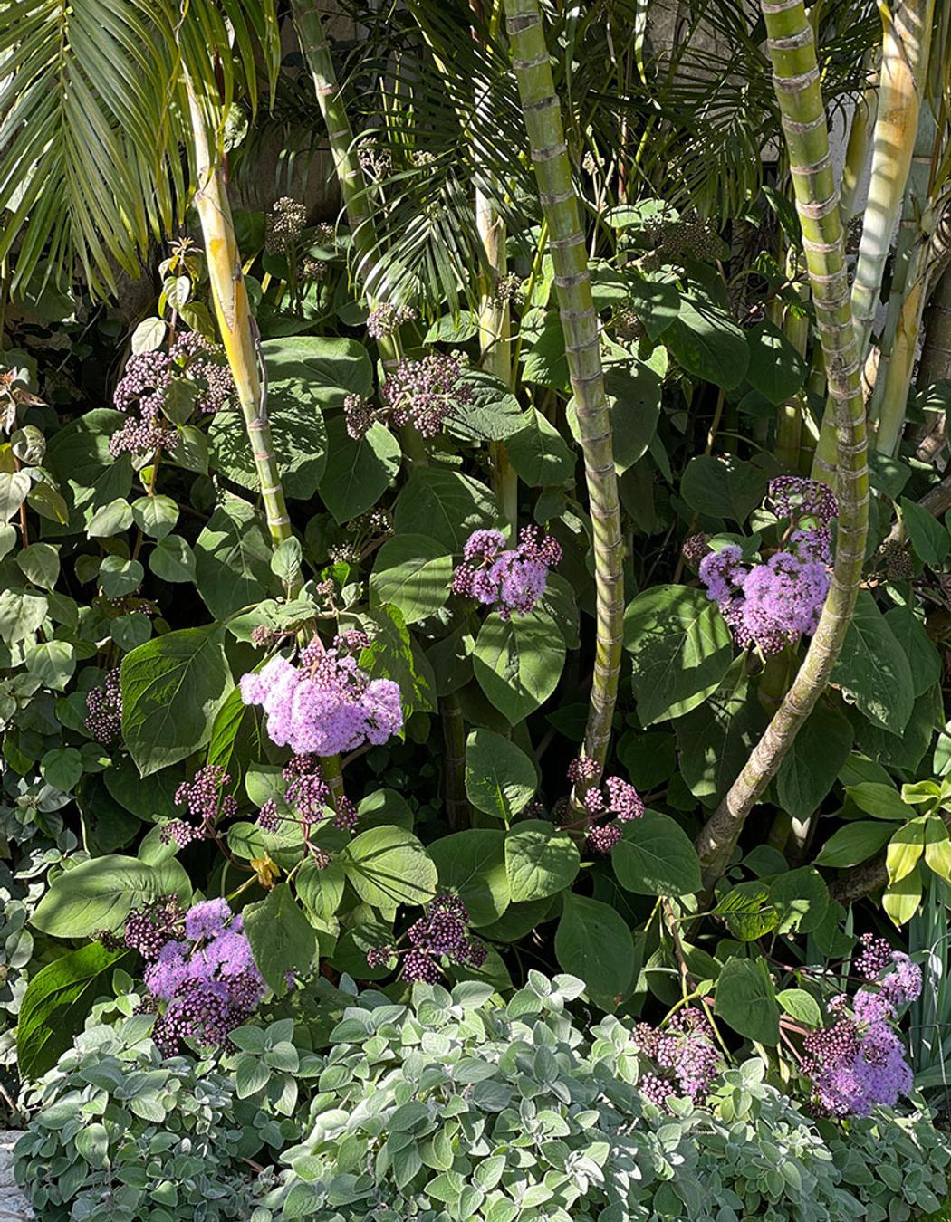 Neighbourhood Watch Reimagined