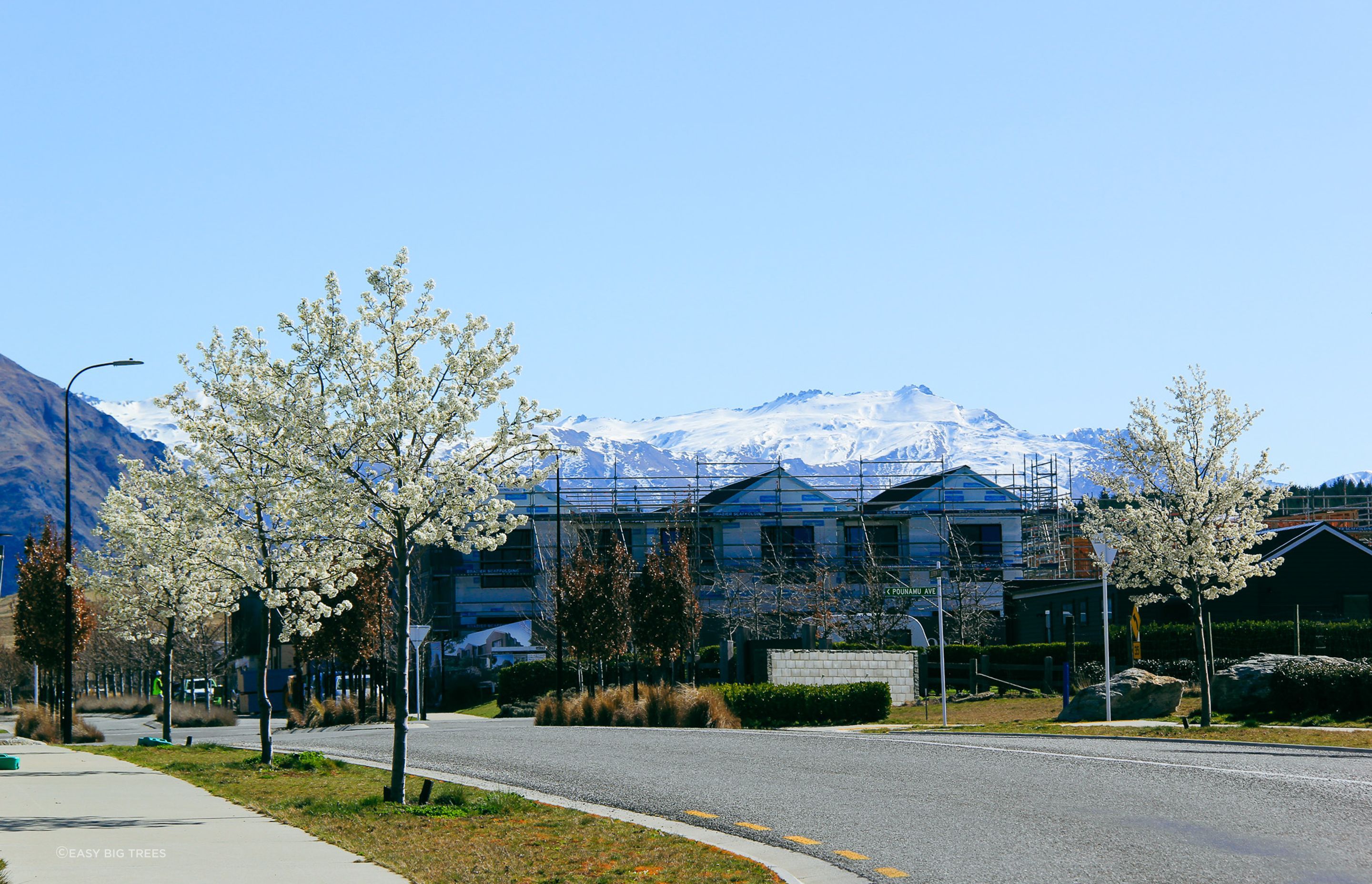 IMG5370-2.jpg