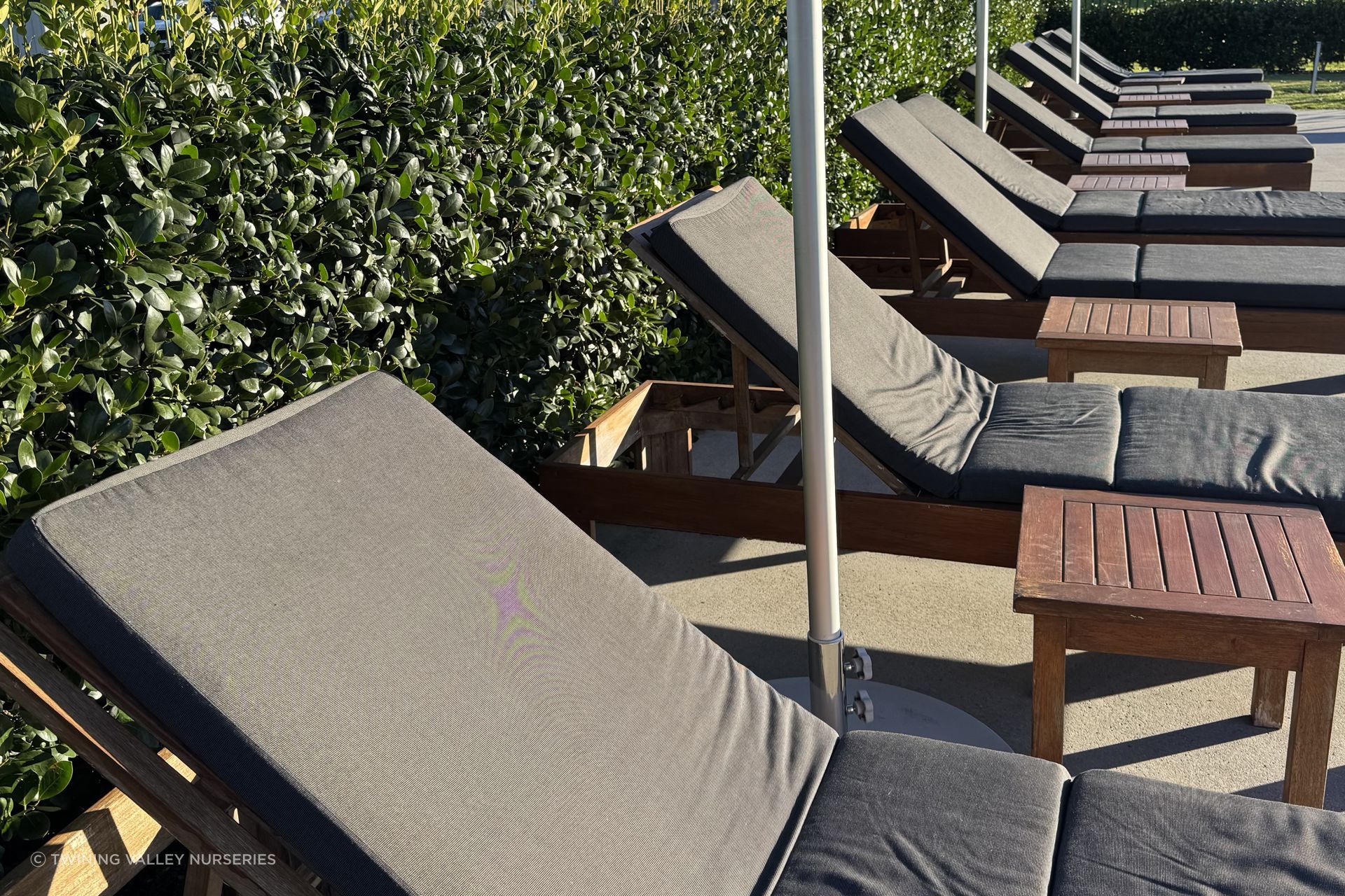 Tall-growing Living Walls™ hedges define the poolside area from the day the landscape construction is completed.
