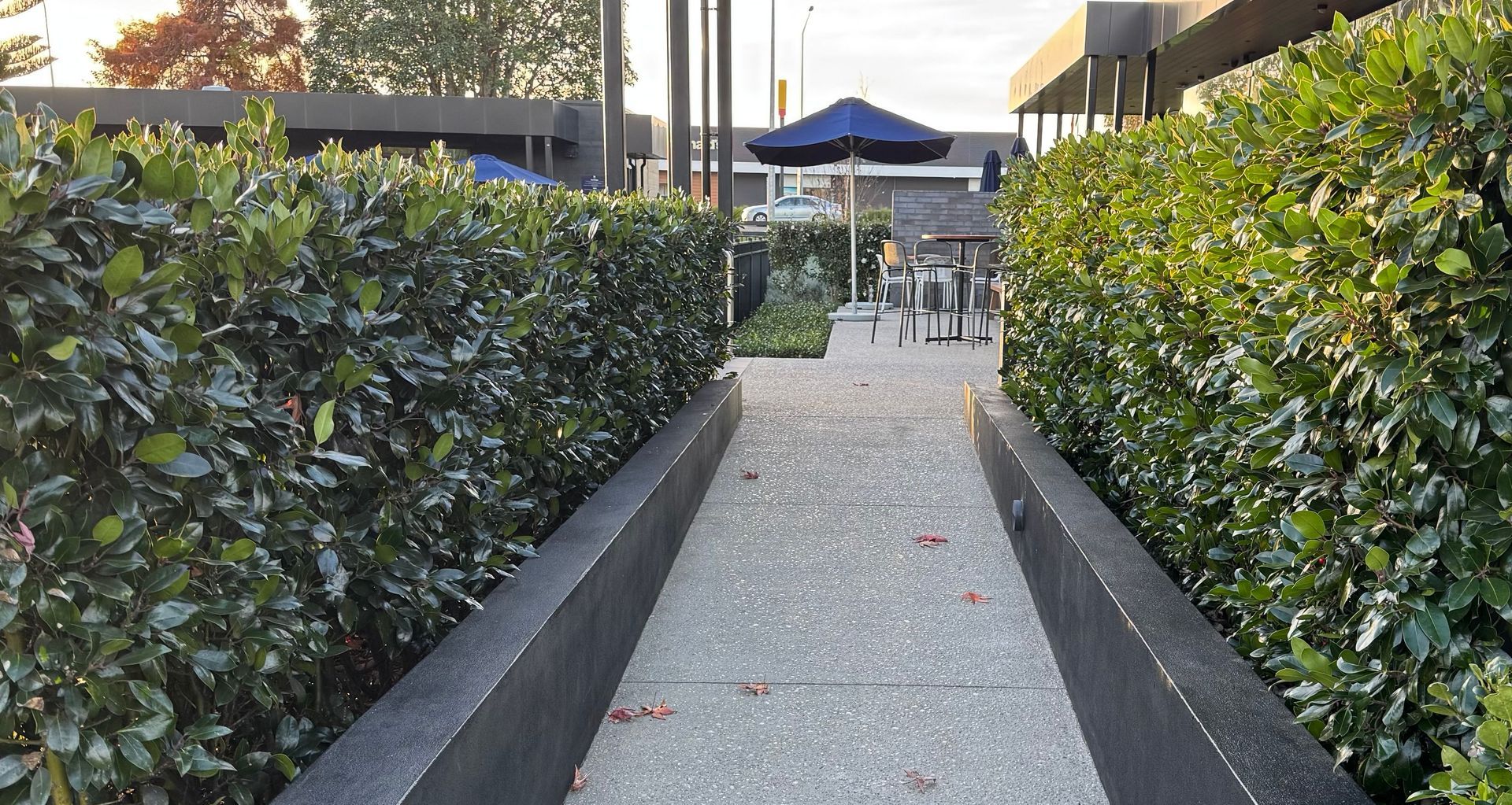 Living Walls™ instant hedges help define the route through the landscape from the day they are installed.