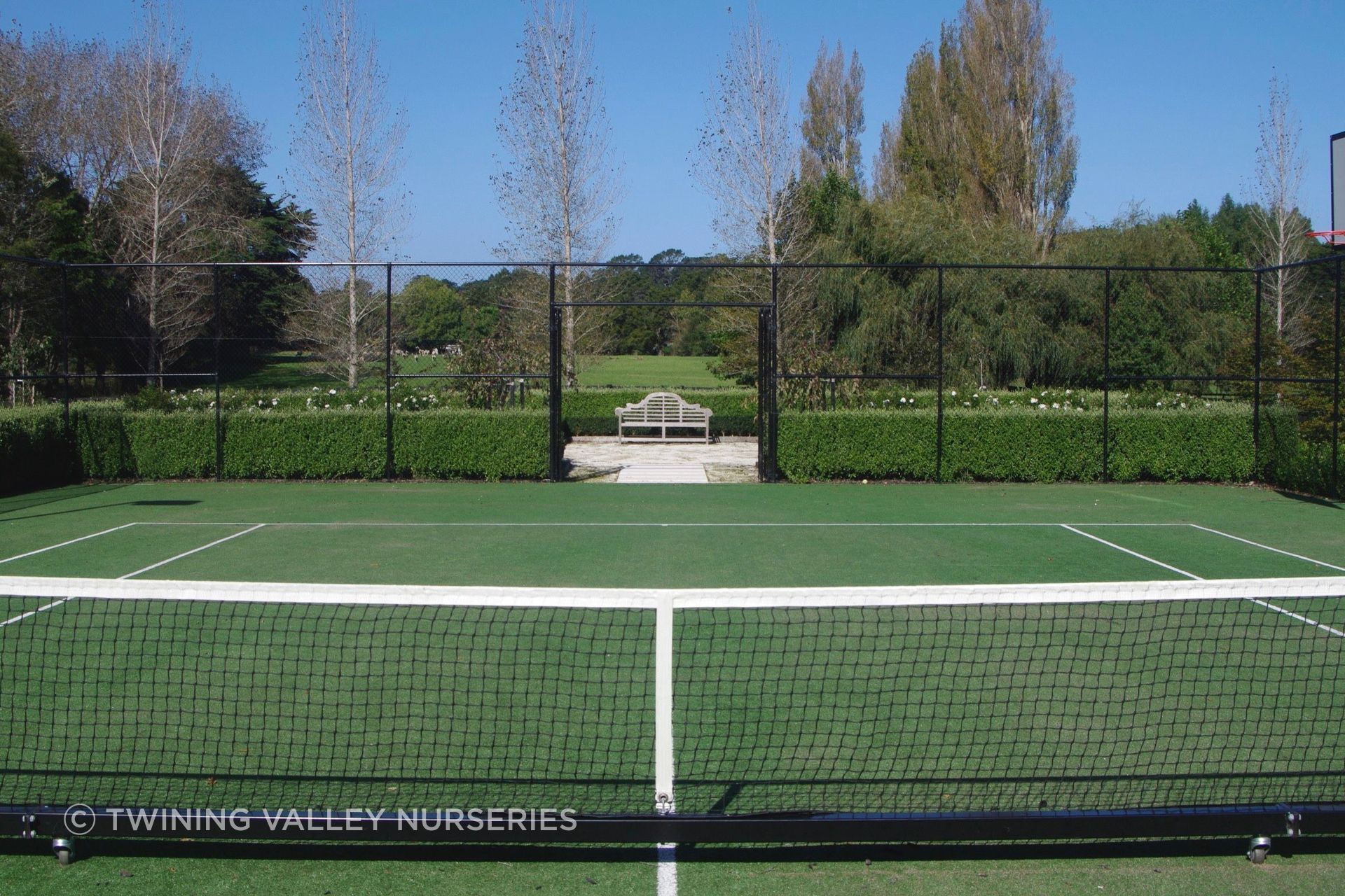 The hedge helps frame the outlook while maintaining a clear connection with the wider landscape.