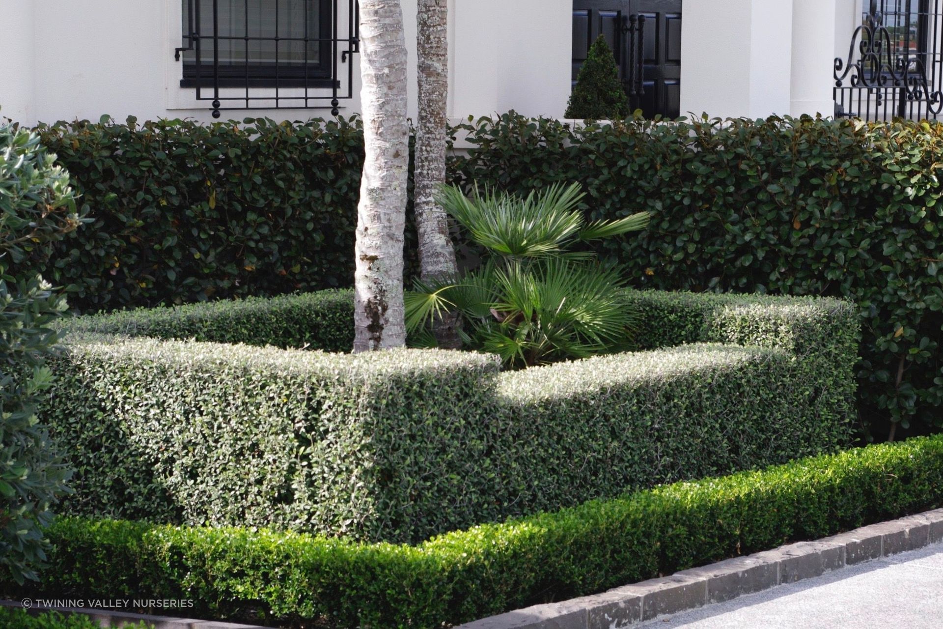 Living Walls™ hedges at different heights add structure and help the planting relate to the scale of the building.