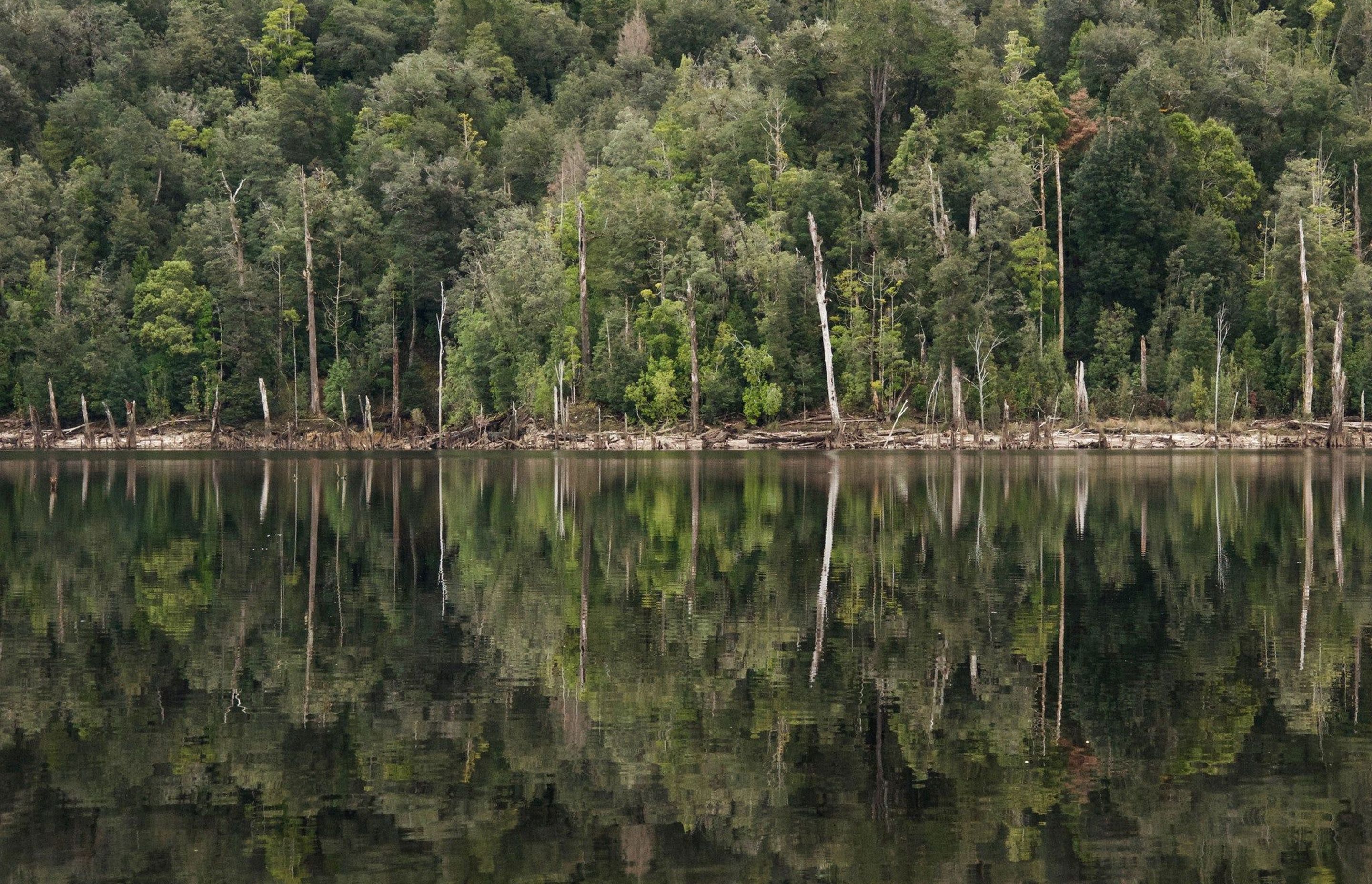 Lake Pieman | Photo by Dean Baird