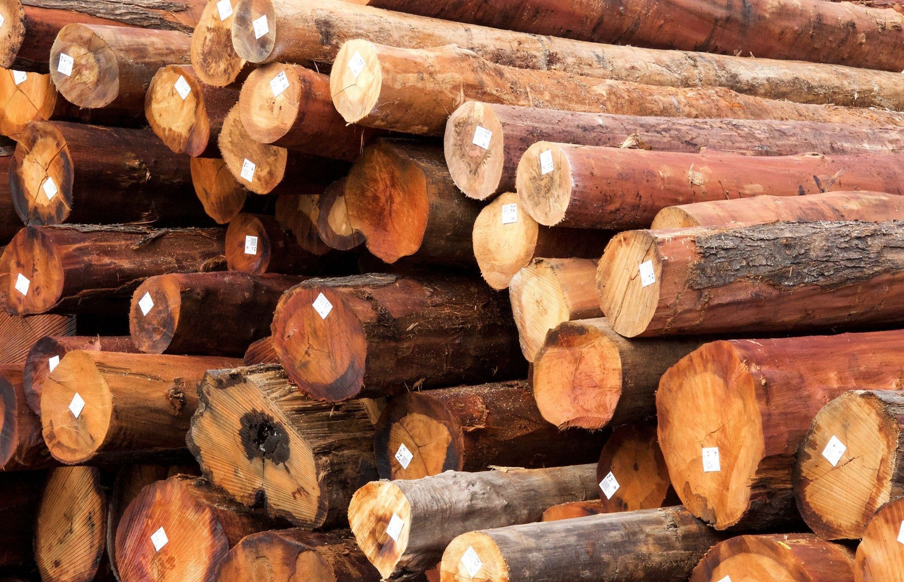 Hydrowood logs | Photo by Dean Baird