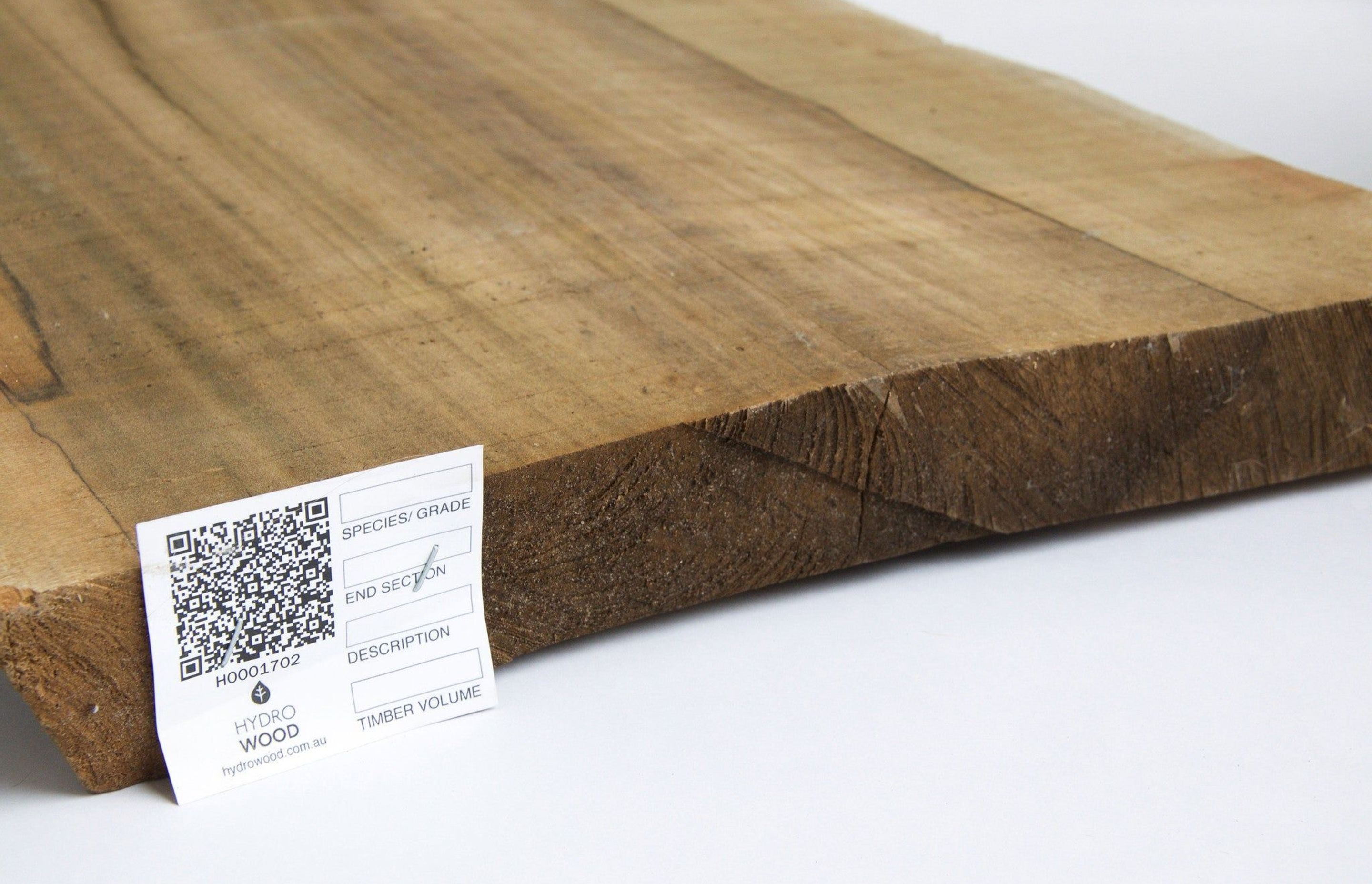 Our first Hydrowood board | Photo by Dean Baird