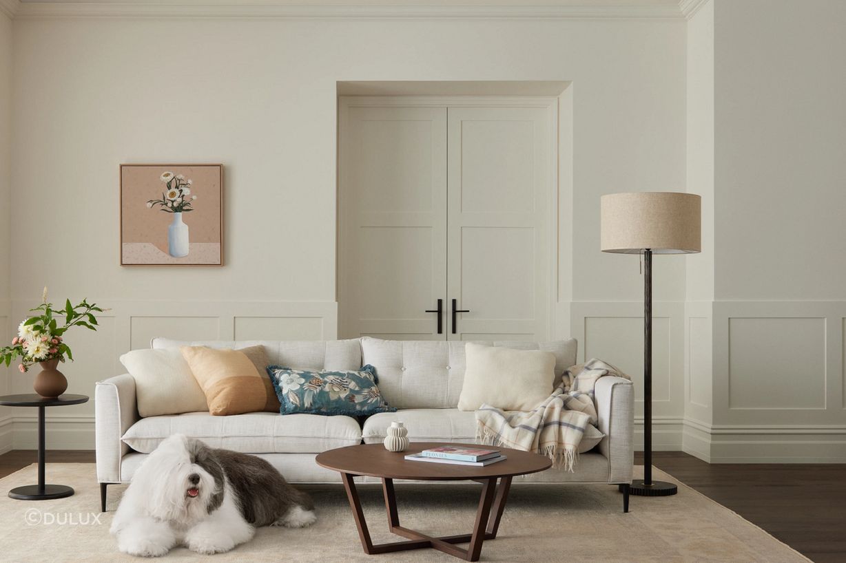 Interior-living-room-Easter-Sandfly-Point-dulux-dog-nz.png