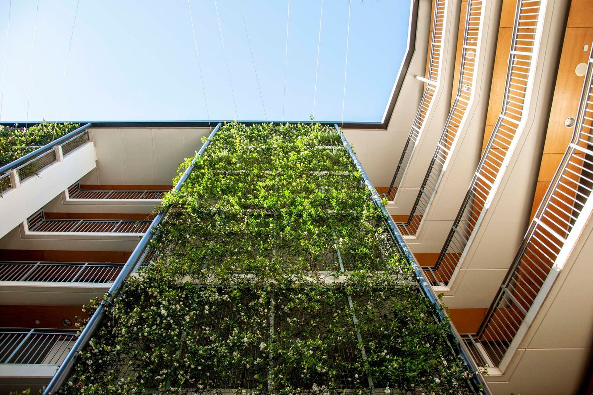 Richmond Apartments in Bowen Hills, Queensland