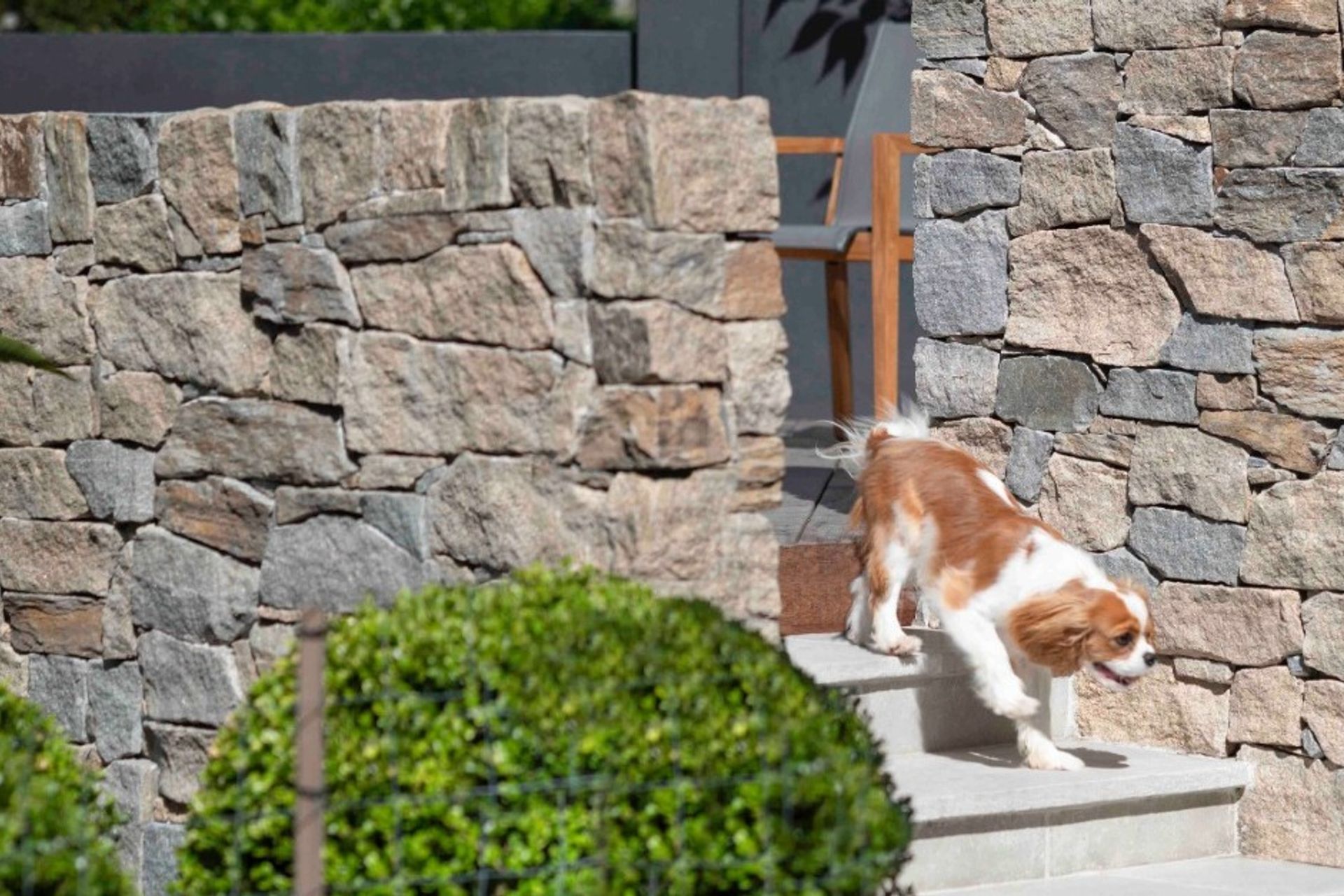 Feature Wall Inspiration