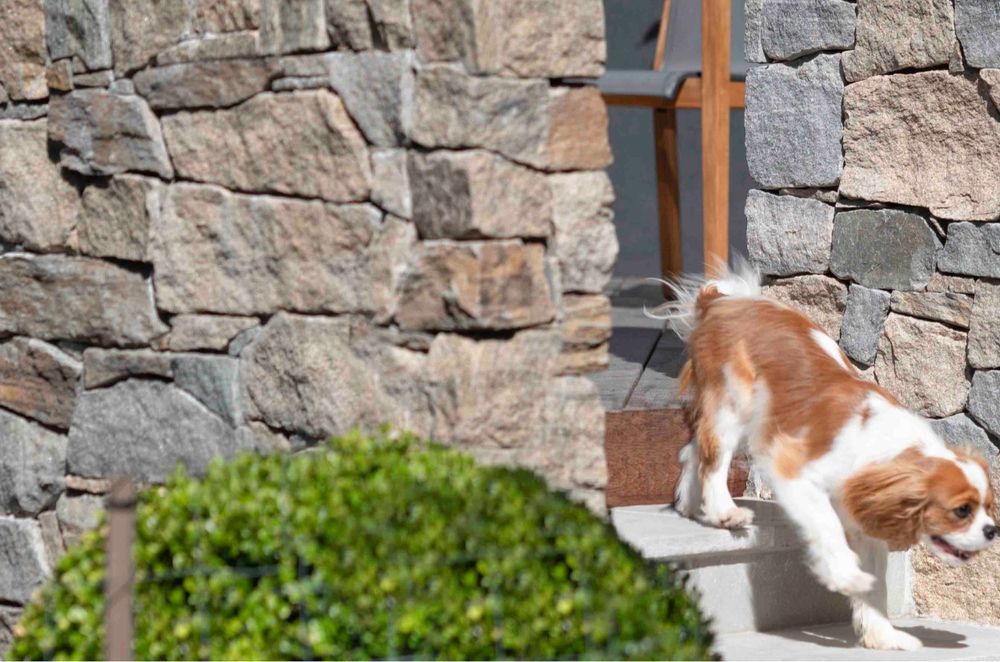 Cotswold Wall Cladding | Joanne Green Landscape &amp; Interior
