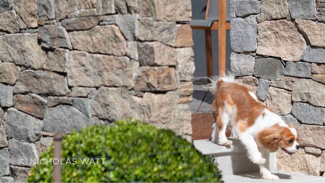 Cotswold Wall Cladding | Joanne Green Landscape &amp; Interior