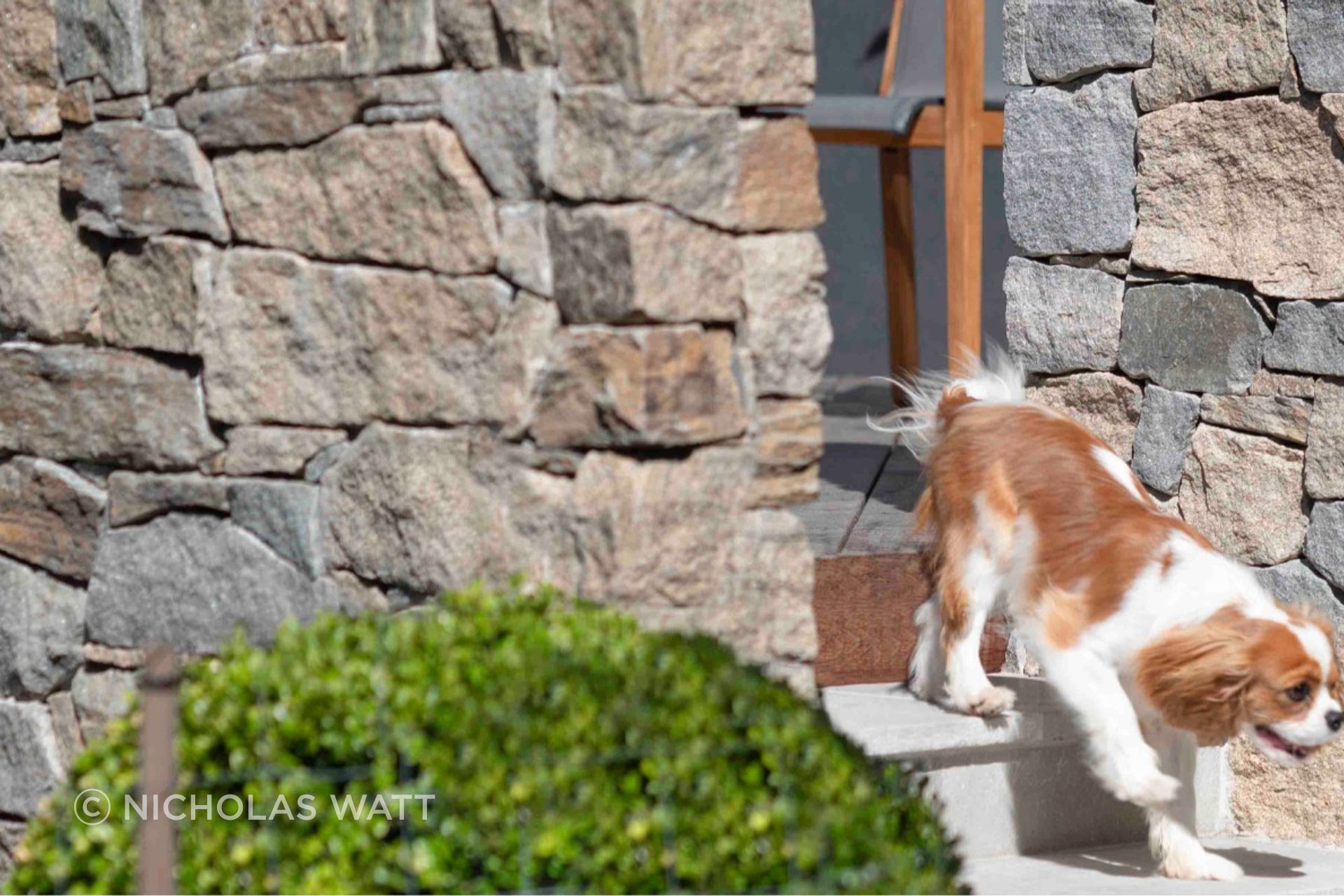Cotswold Wall Cladding | Joanne Green Landscape & Interior