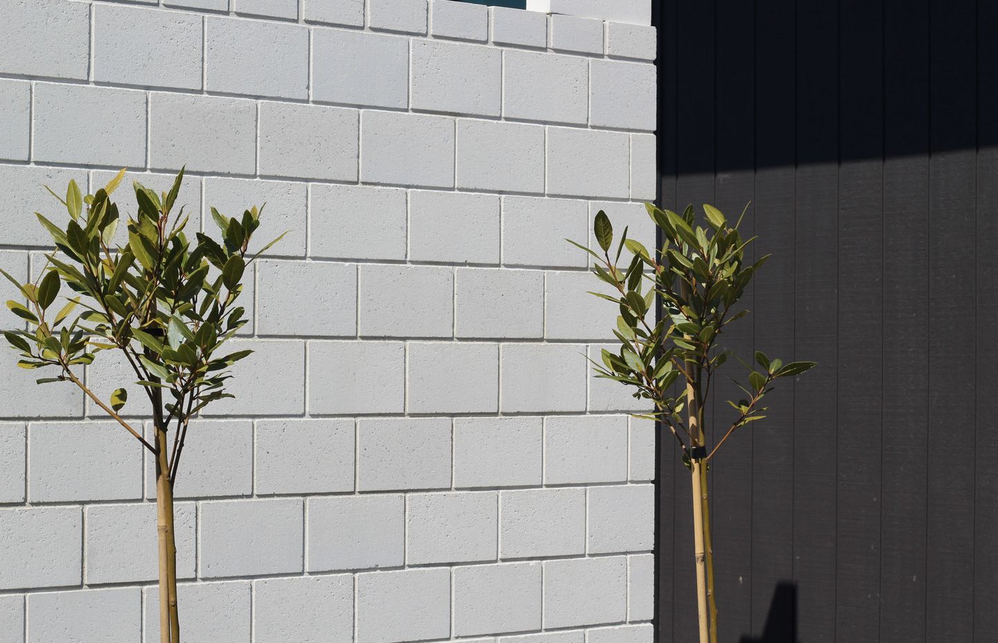 Viblock is starting to offer larger format bricks in line with growing trends.