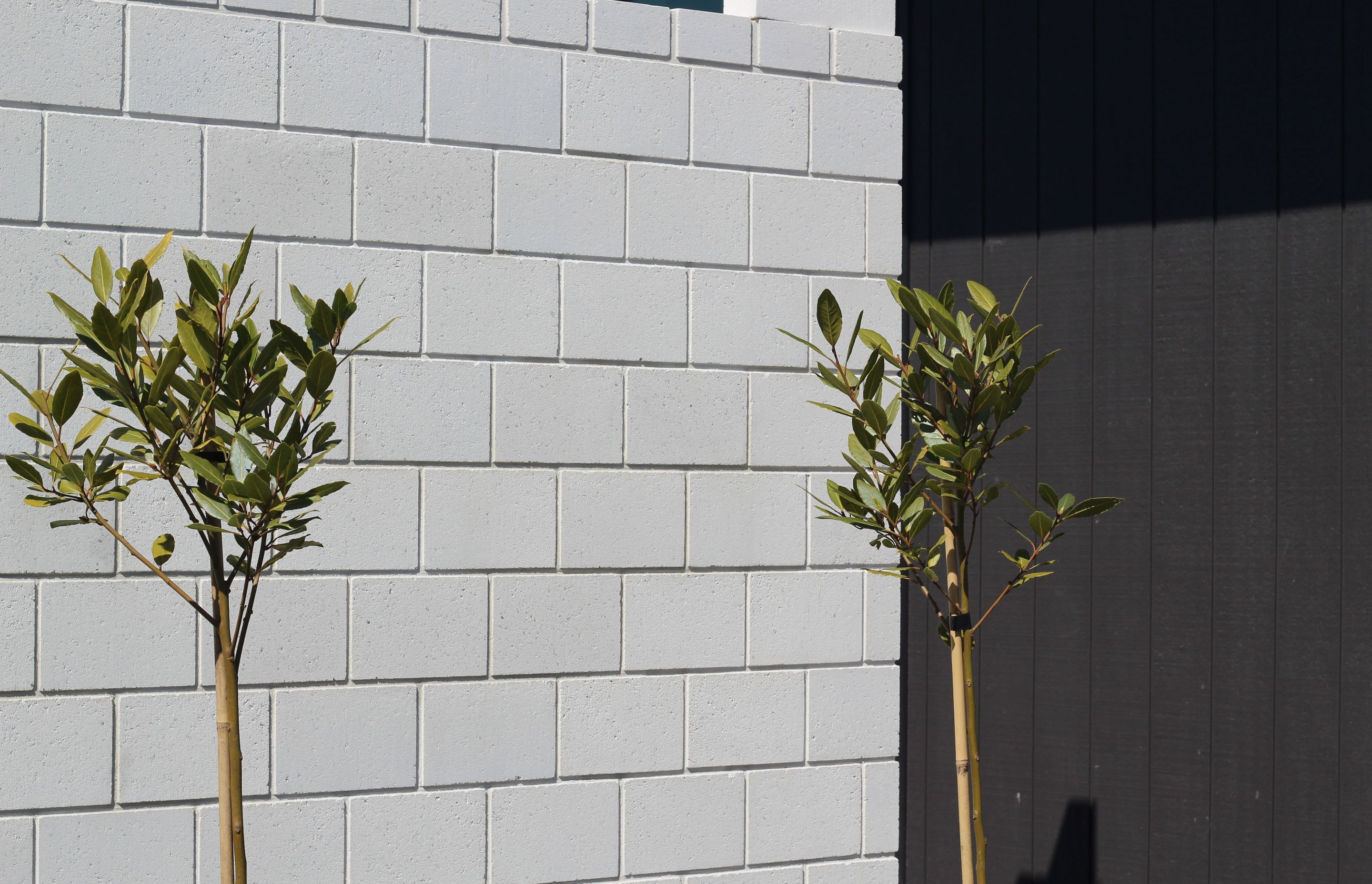 Viblock is starting to offer larger format bricks in line with growing trends.