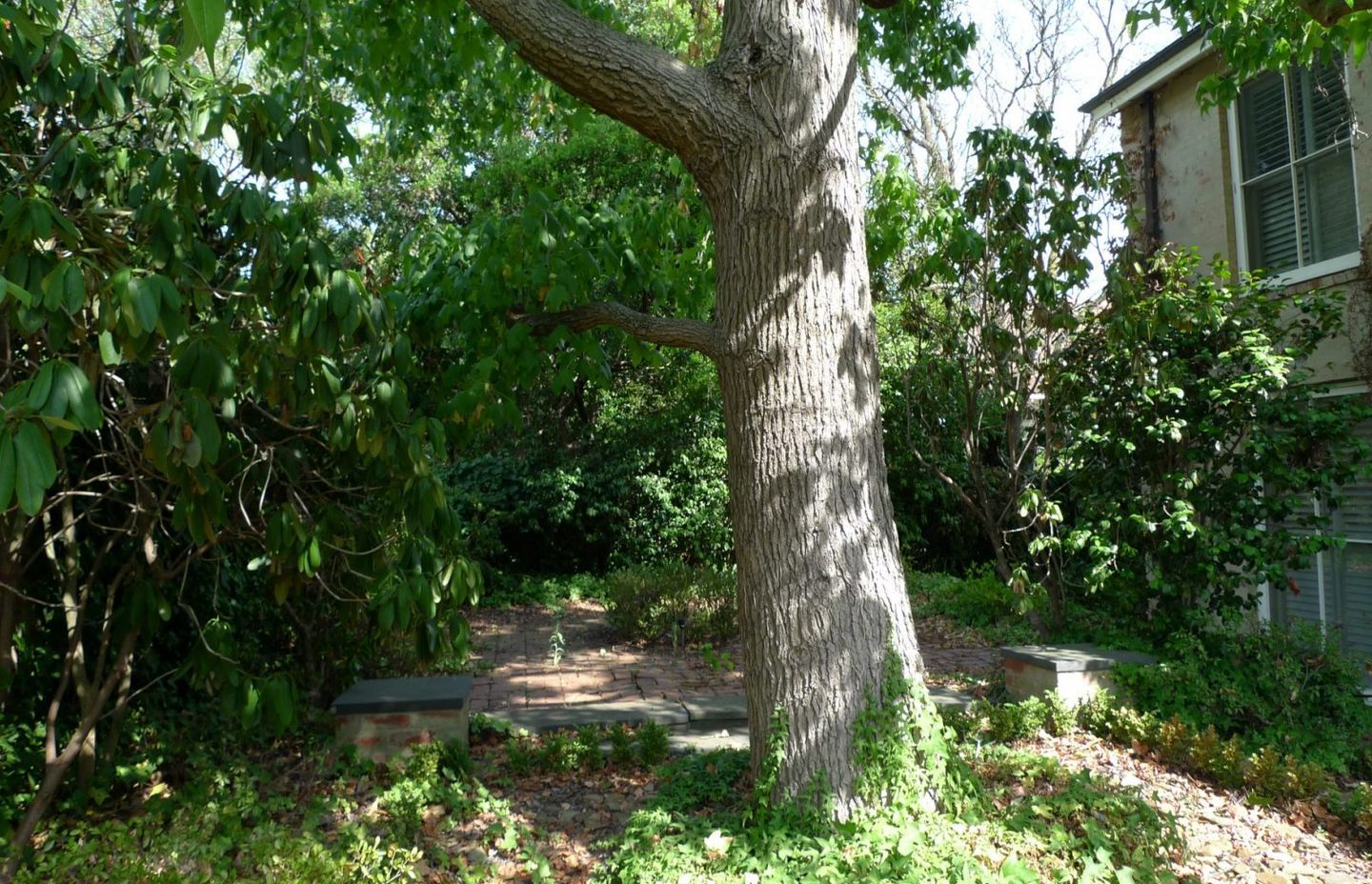 Landscape Design Process