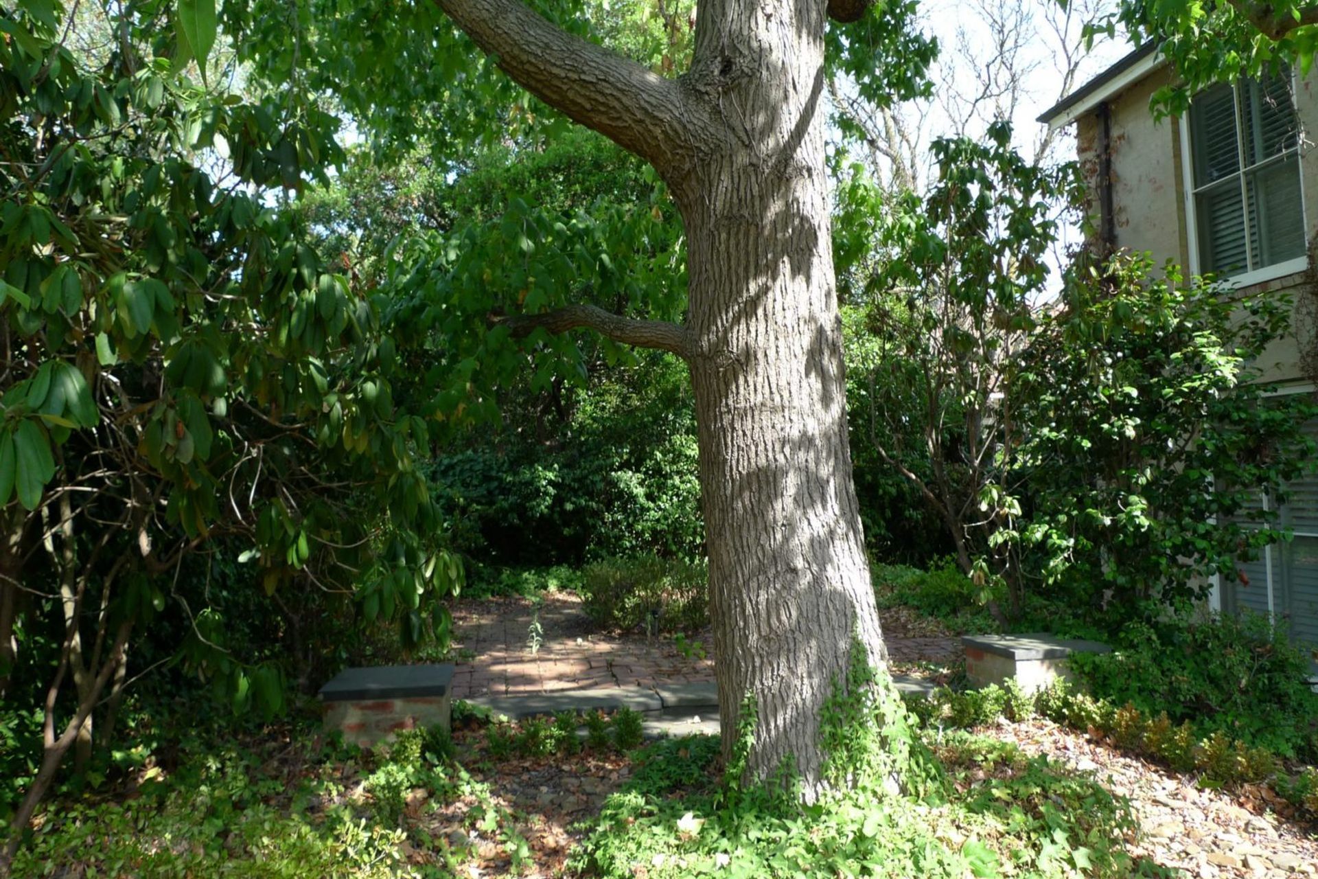 Landscape Design Process