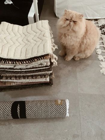 LaidbackLeeDesign121170x1550.jpeg