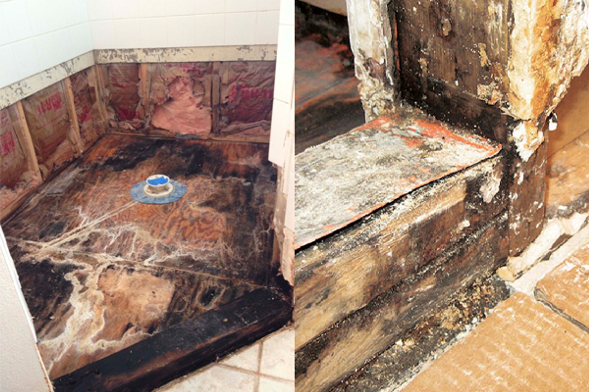 How Atlantis exceeds New Zealand’s waterproofing standards