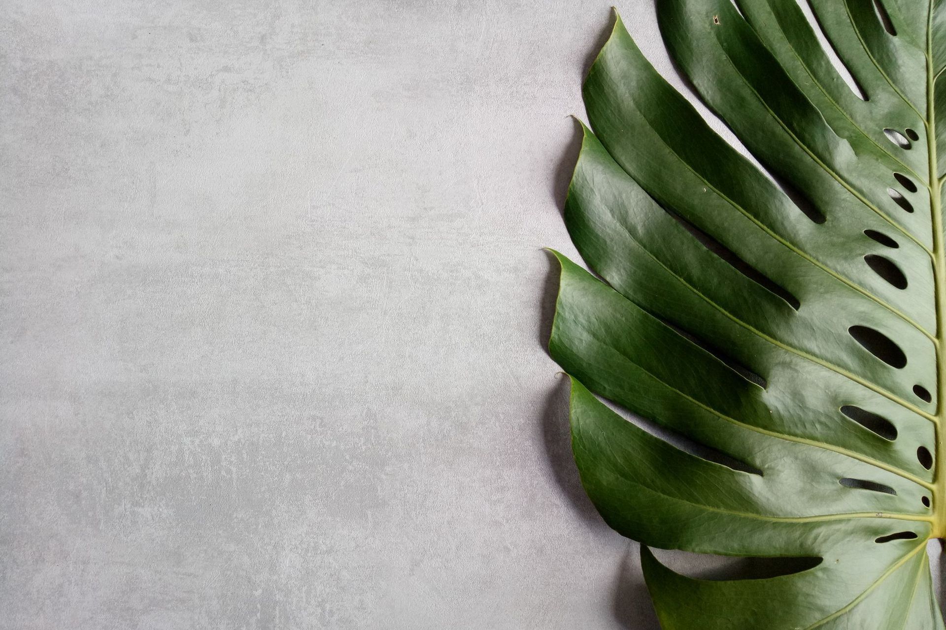 An up-close look at Lookcrete.