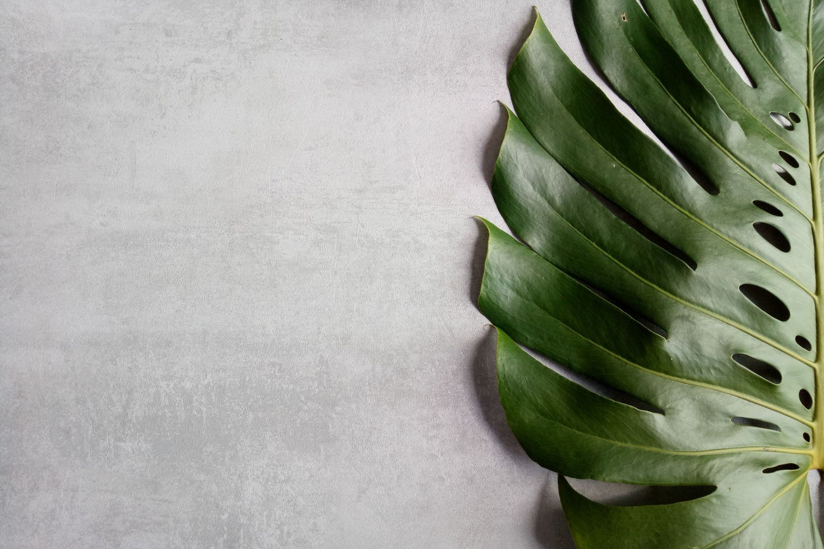 An up-close look at Lookcrete.