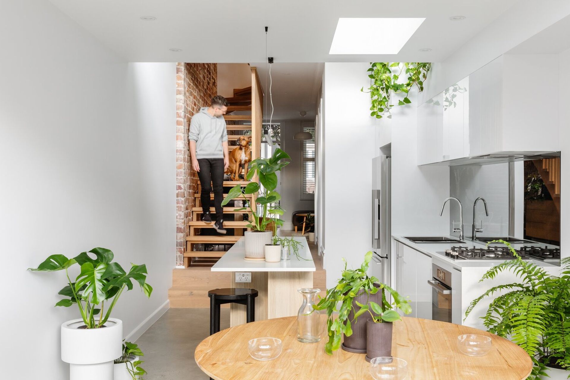 Paddo Terrace by Sandbox Studio | Photography by Katherine Lu