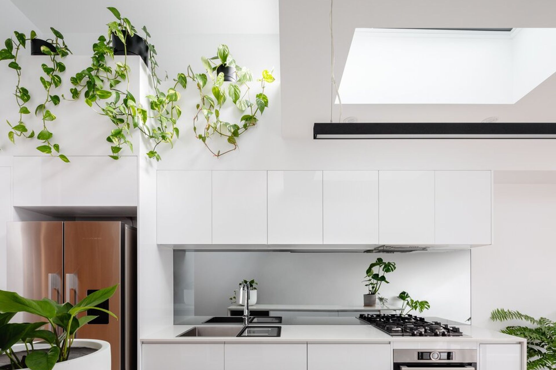 Paddo Terrace by Sandbox Studio | Photography by Katherine Lu