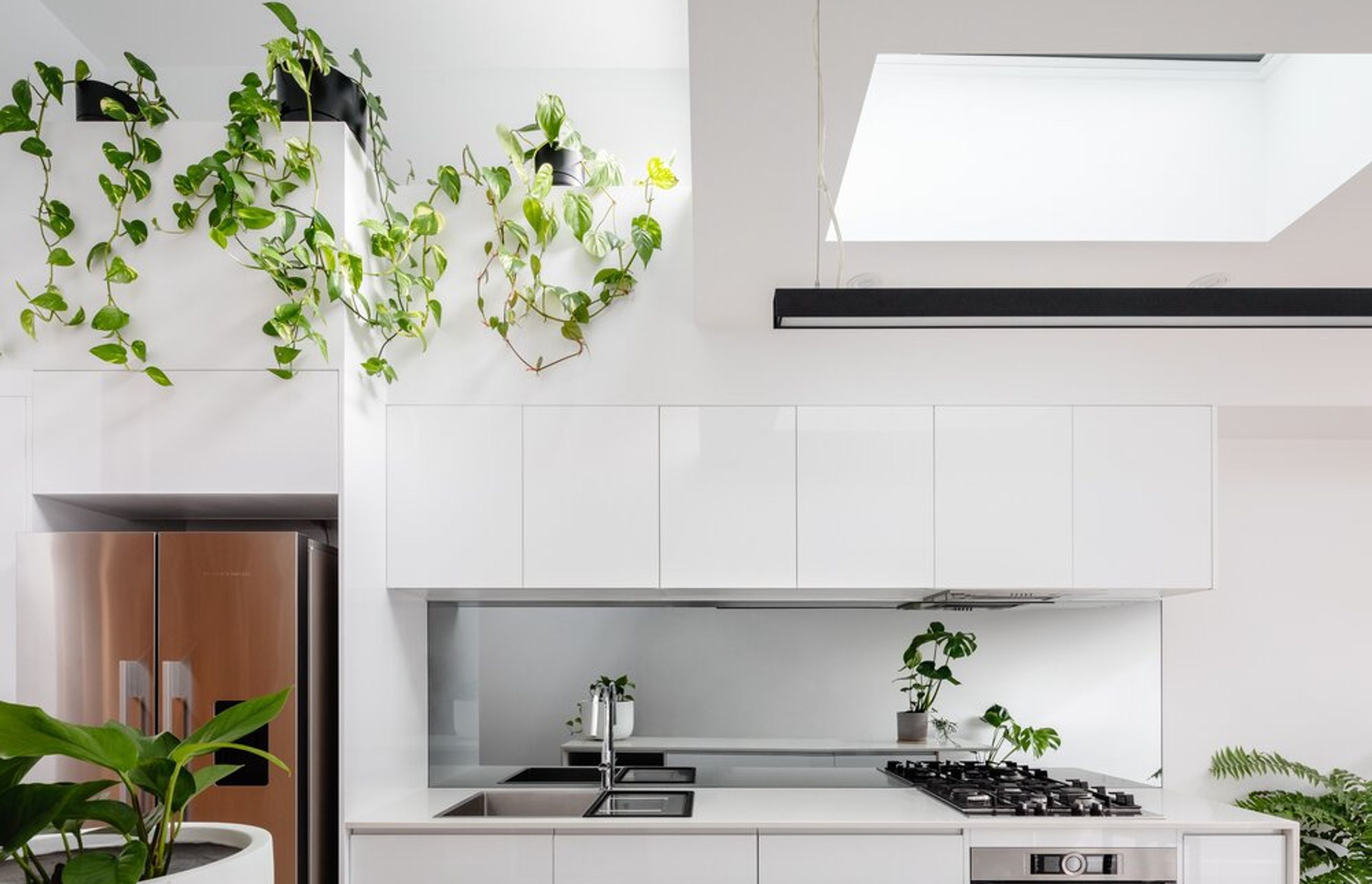 Paddo Terrace by Sandbox Studio | Photography by Katherine Lu