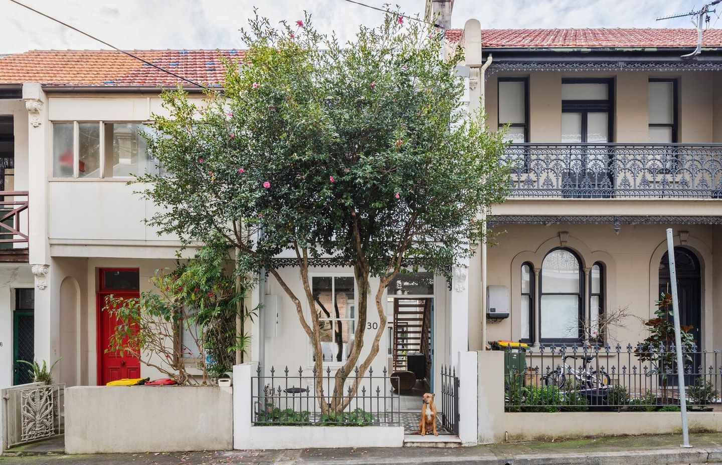 Paddo Terrace by Sandbox Studio | Photography by Katherine Lu