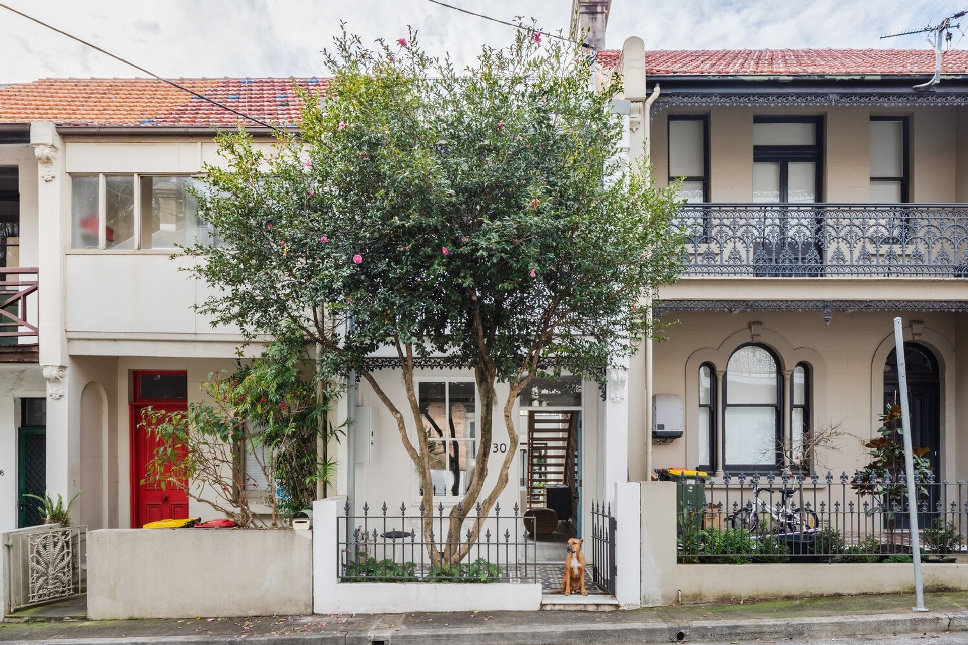 Paddo Terrace by Sandbox Studio | Photography by Katherine Lu