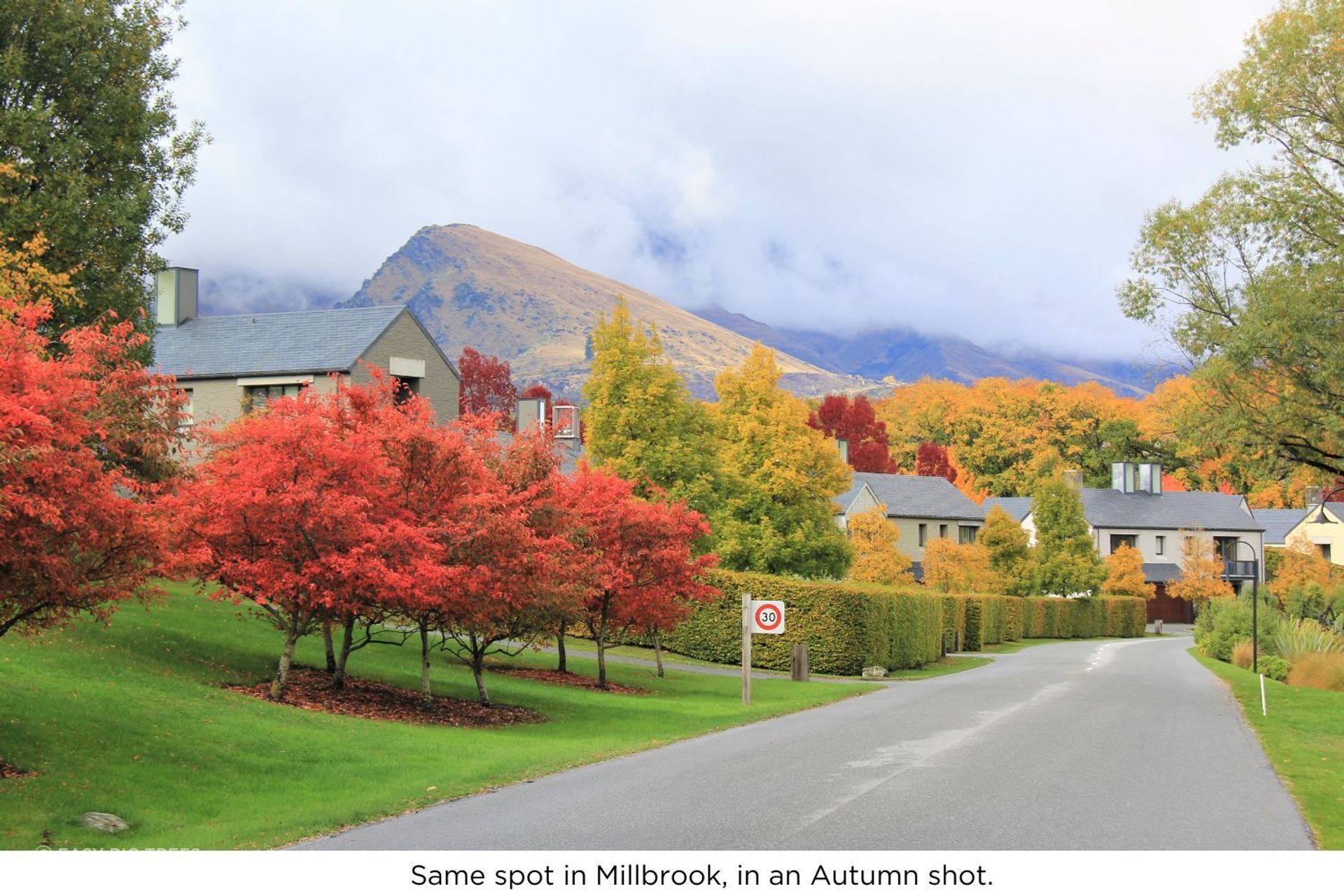 Millbrook-2-Autumn.jpg