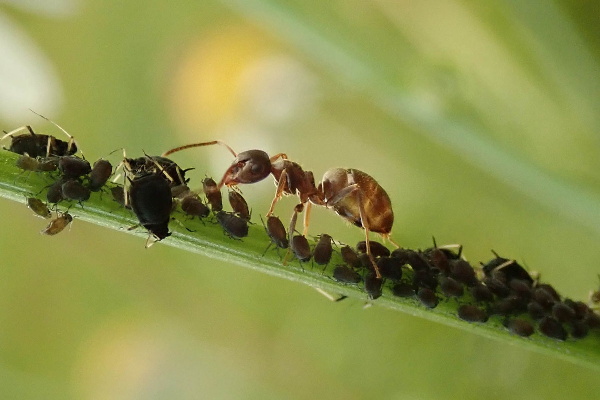 Mysterious forest landscape takes first place in Denmark’s photo contest