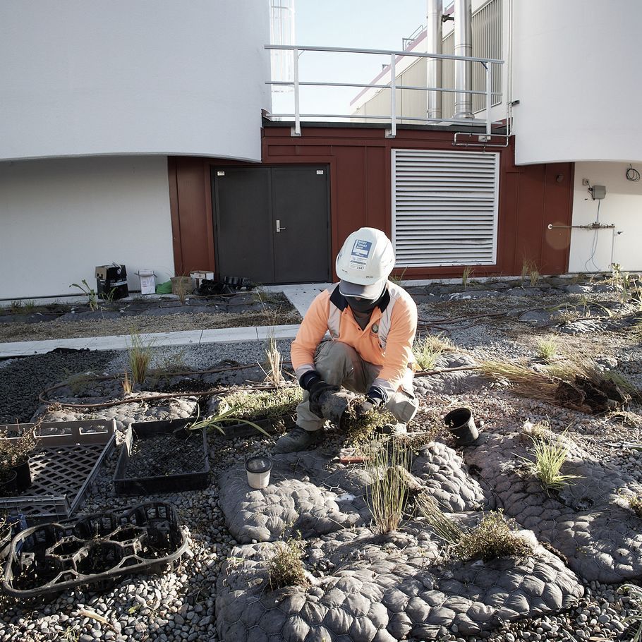 Bringing green sanctuaries to the city