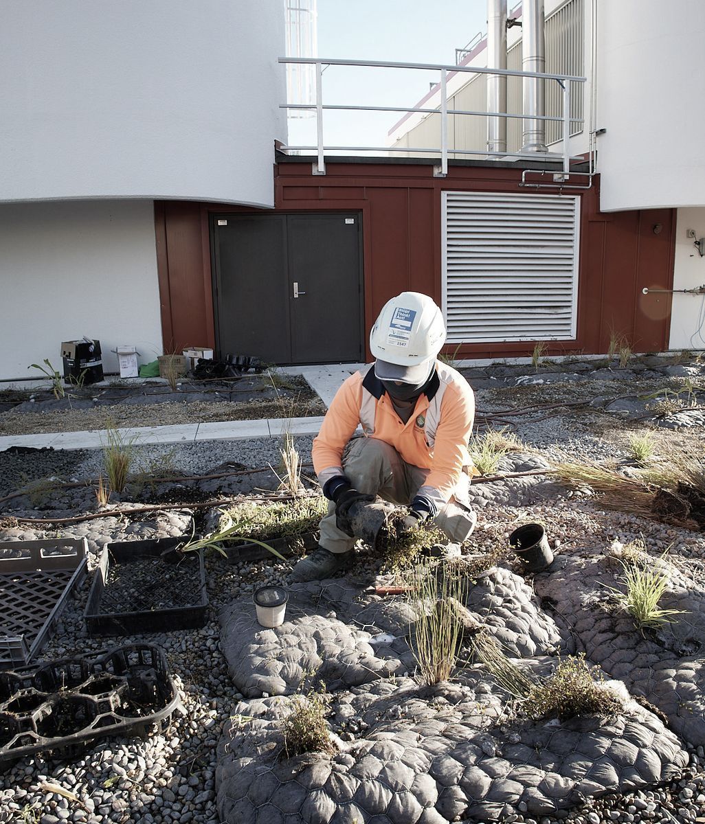 Bringing green sanctuaries to the city
